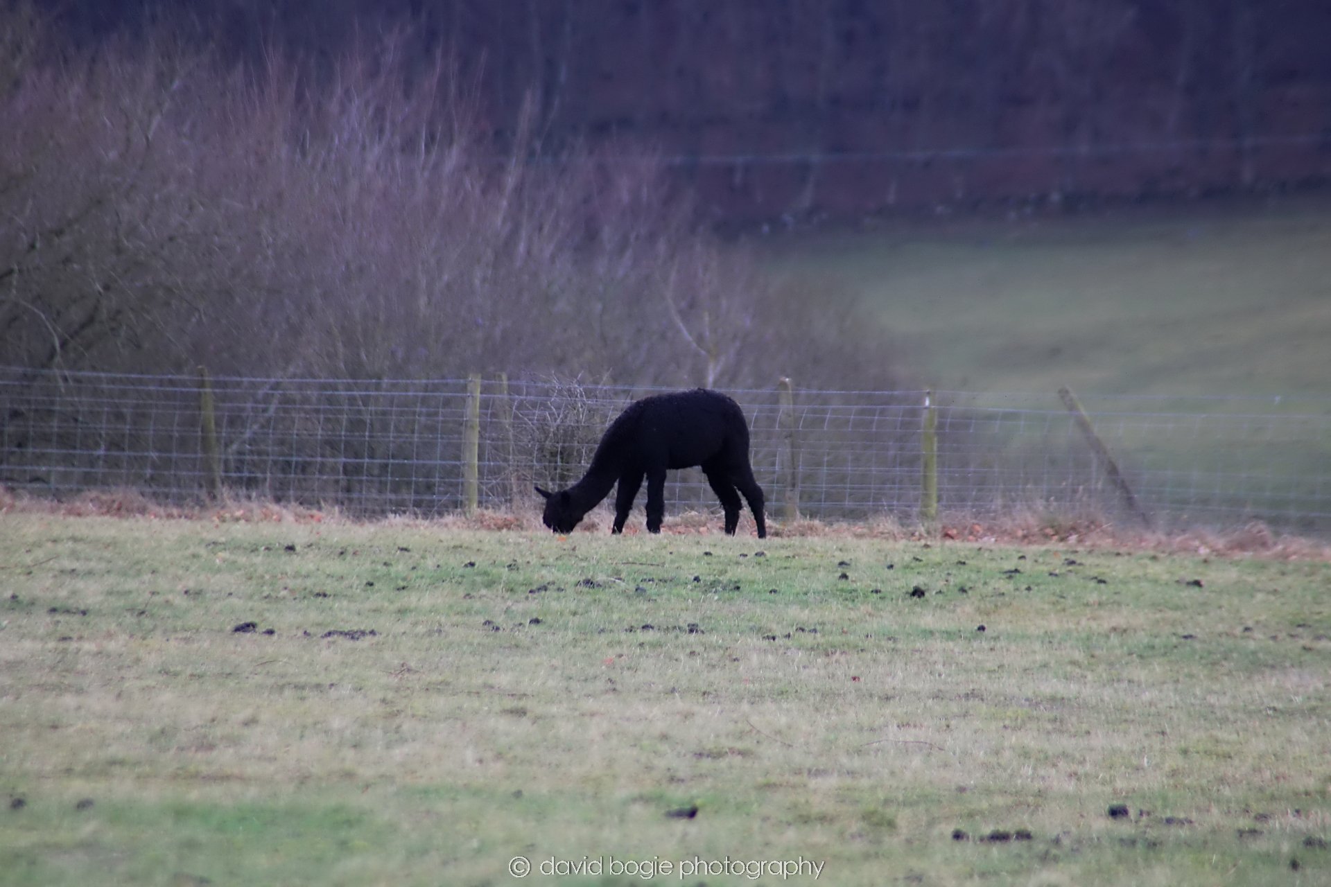 YEAR20230215 Lochore IMG_0038.jpg