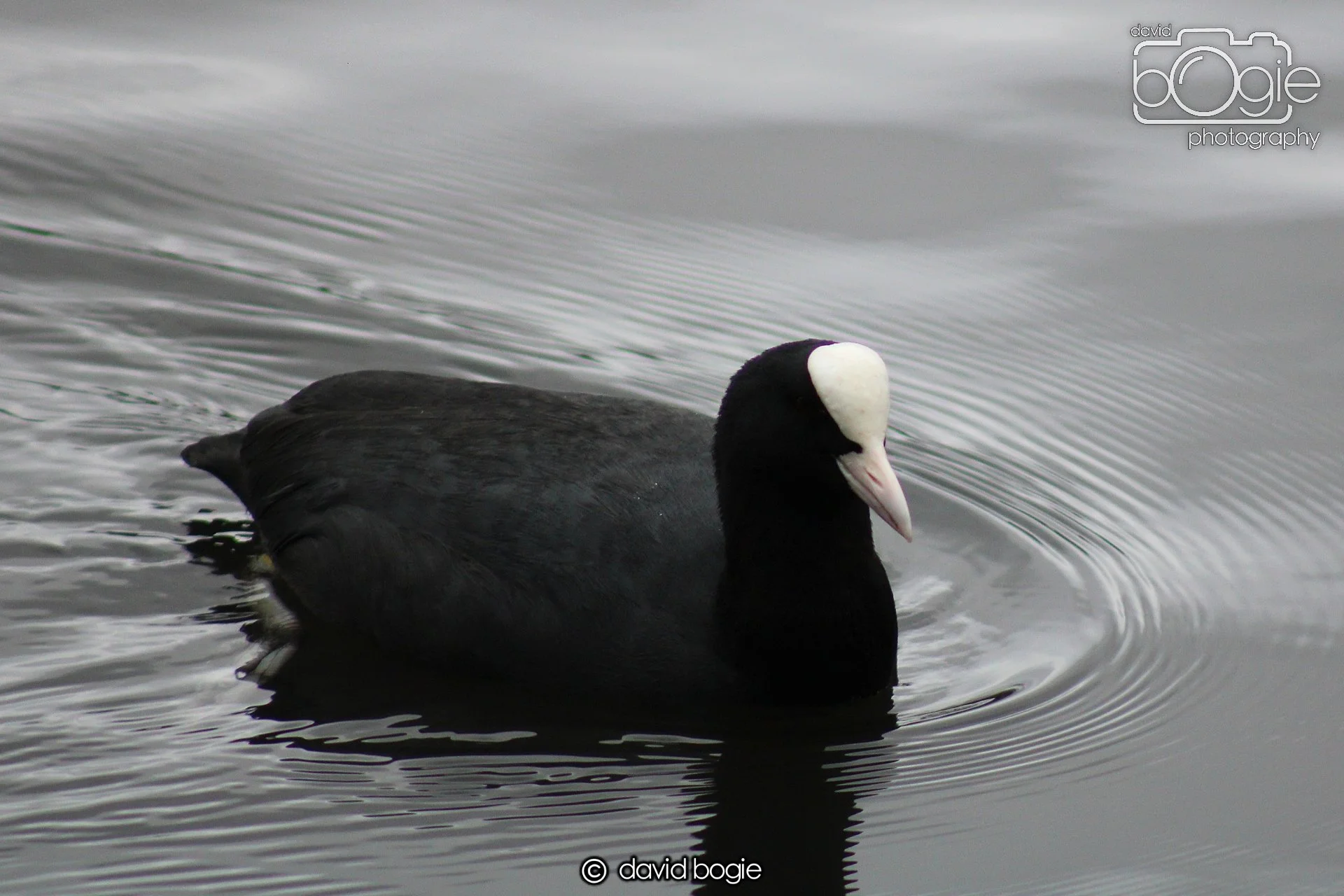 20210310 Beveridge (28) .jpg