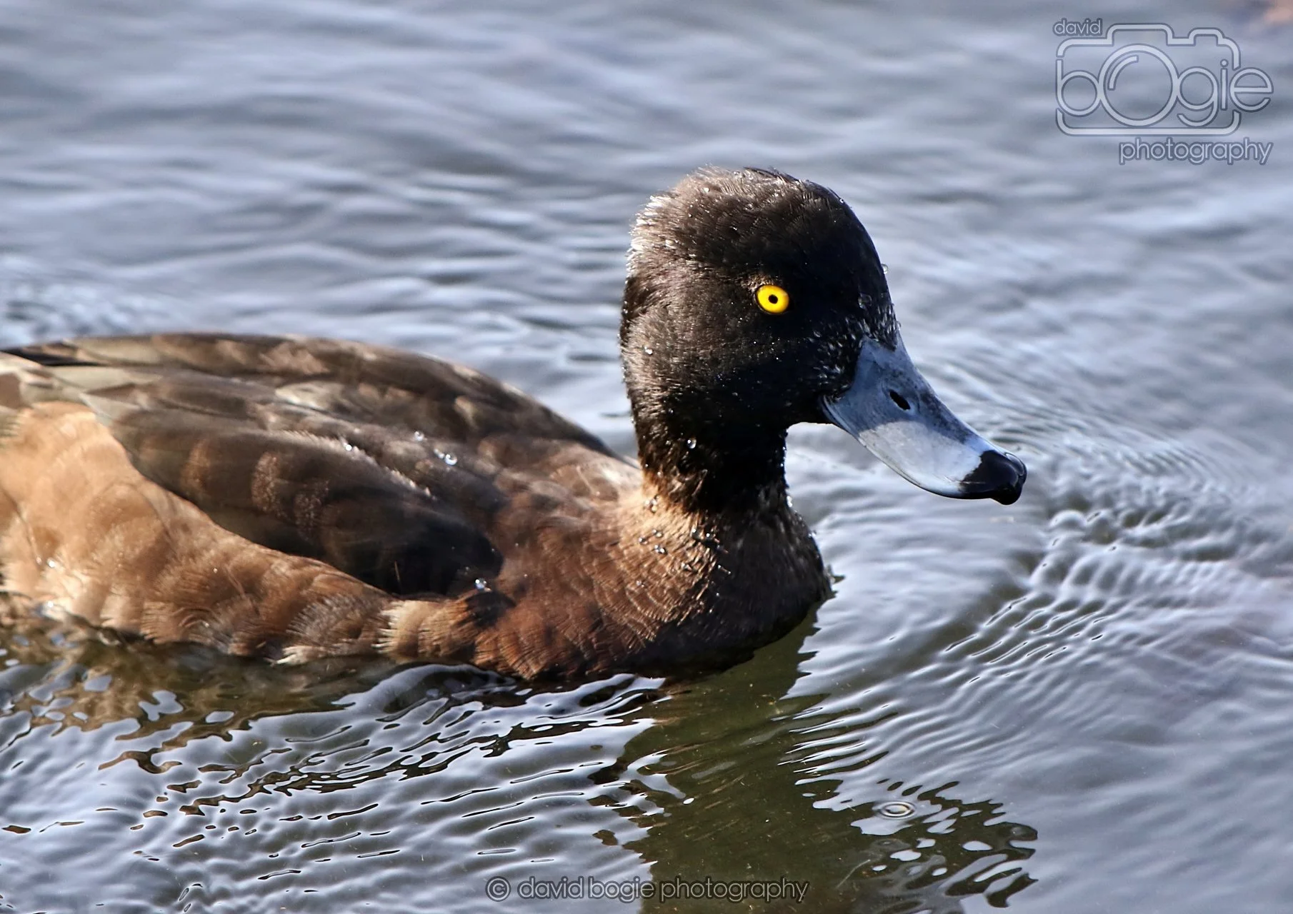 20260319 133317 Beveridge Park 0469.jpg