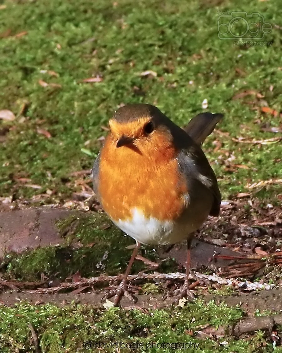 20260128 133745 Dunnikier 0225.jpg