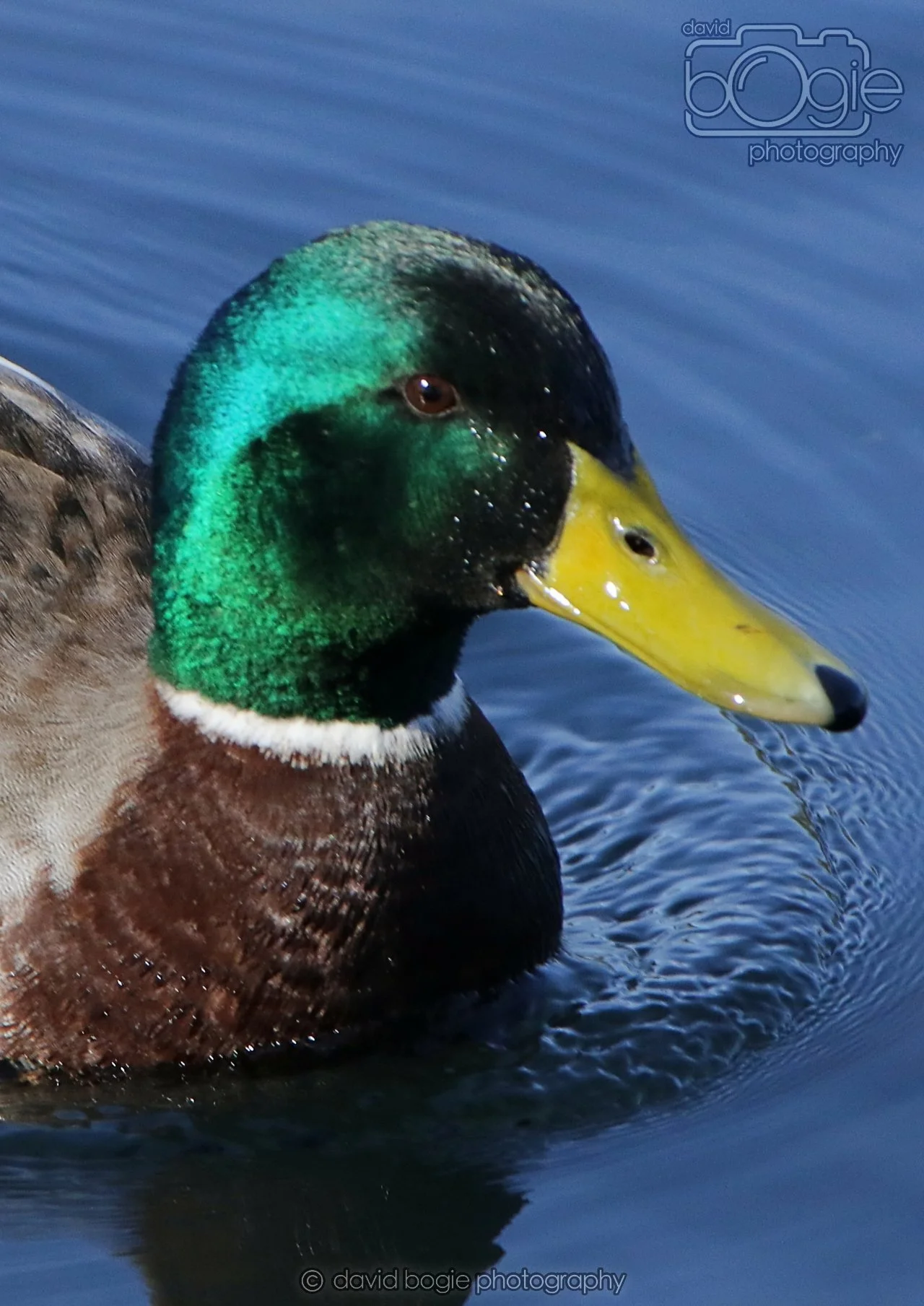 20260319 112940 Beveridge Park 0044.jpg