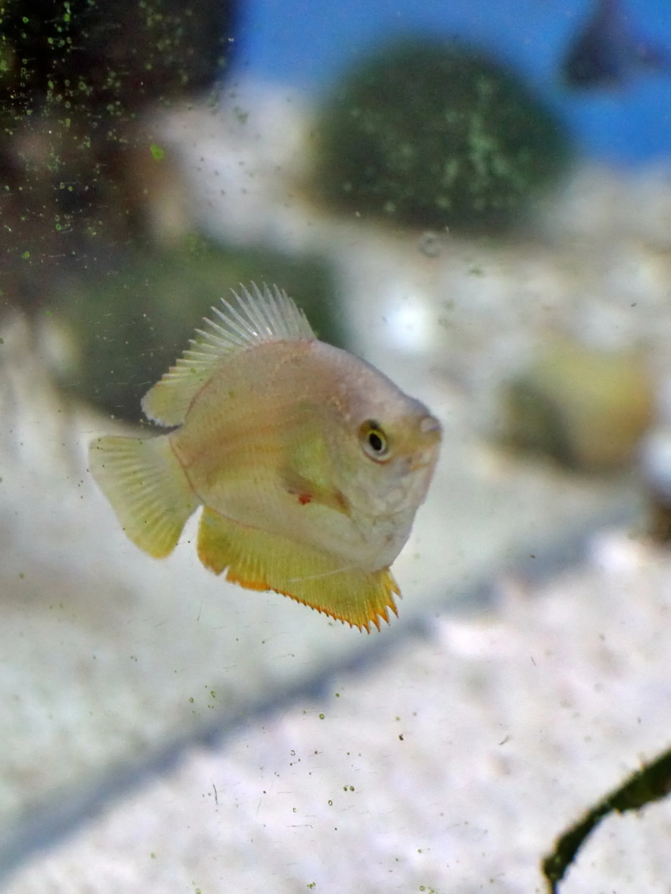 20251206 125310 K&S 0096.JPG