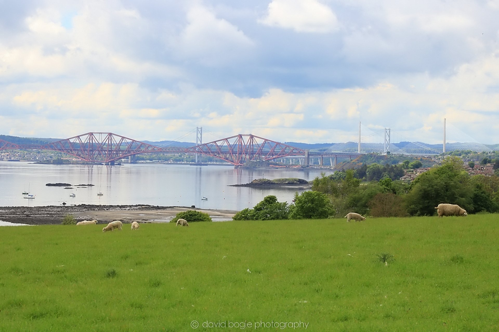 20190521 110500 Braefoot & Charles Hill 0023.jpg