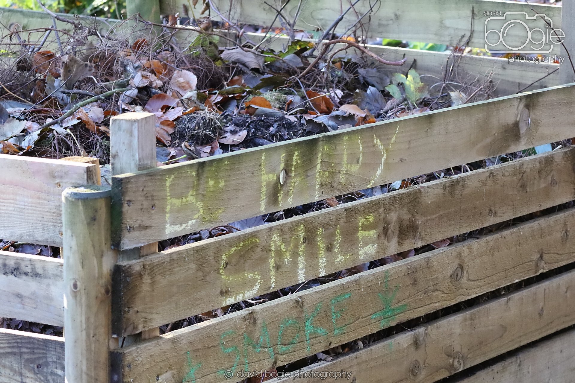 20251125 142254 Silverburn 0667.JPG