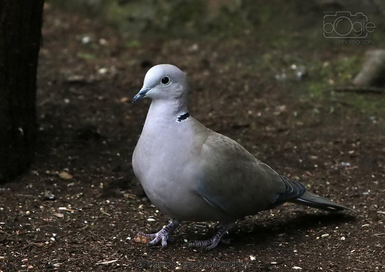 20260309 114019 Dunnikier 0266.jpg