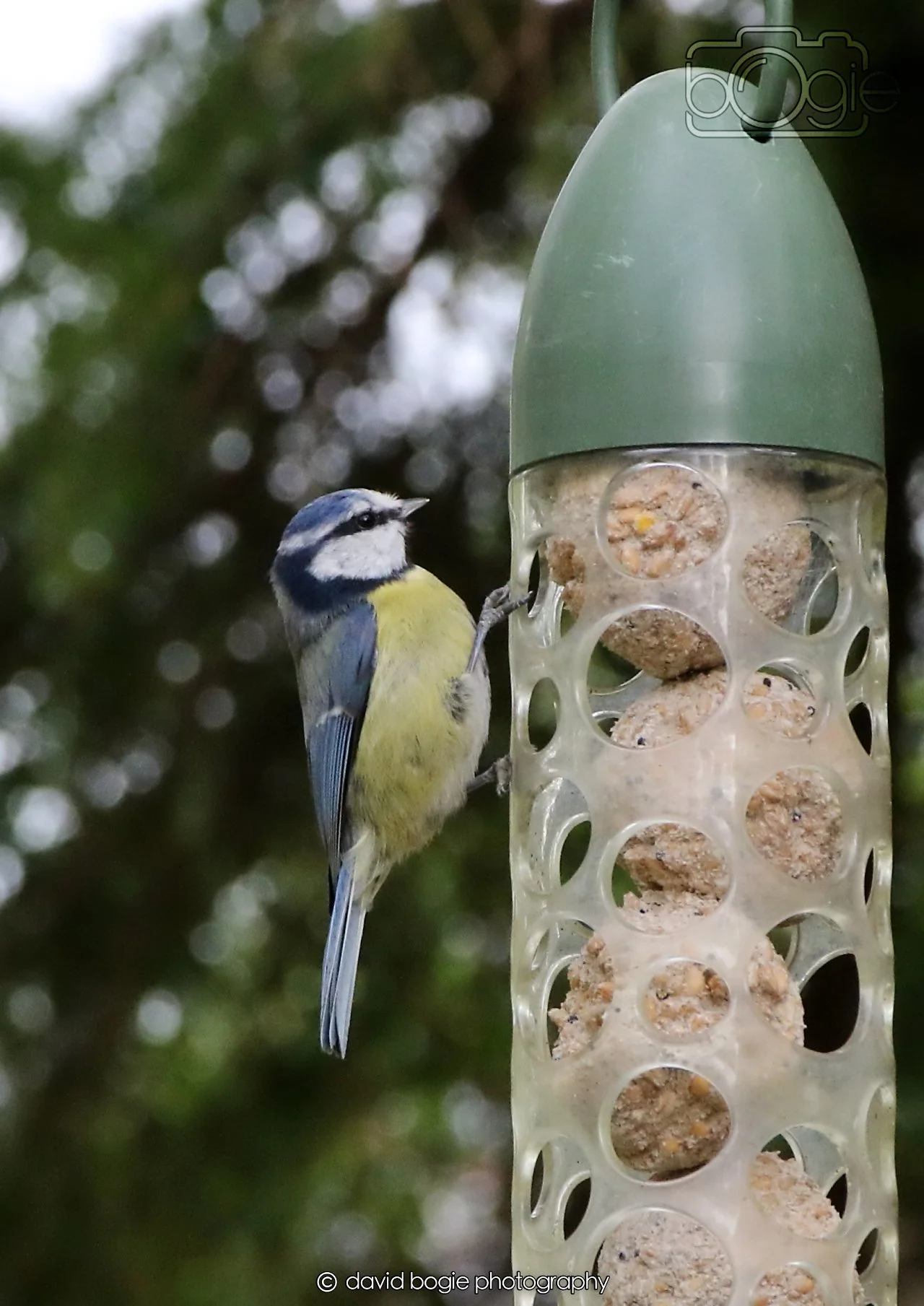 20260330 111150 Dunnikier 0015.jpg