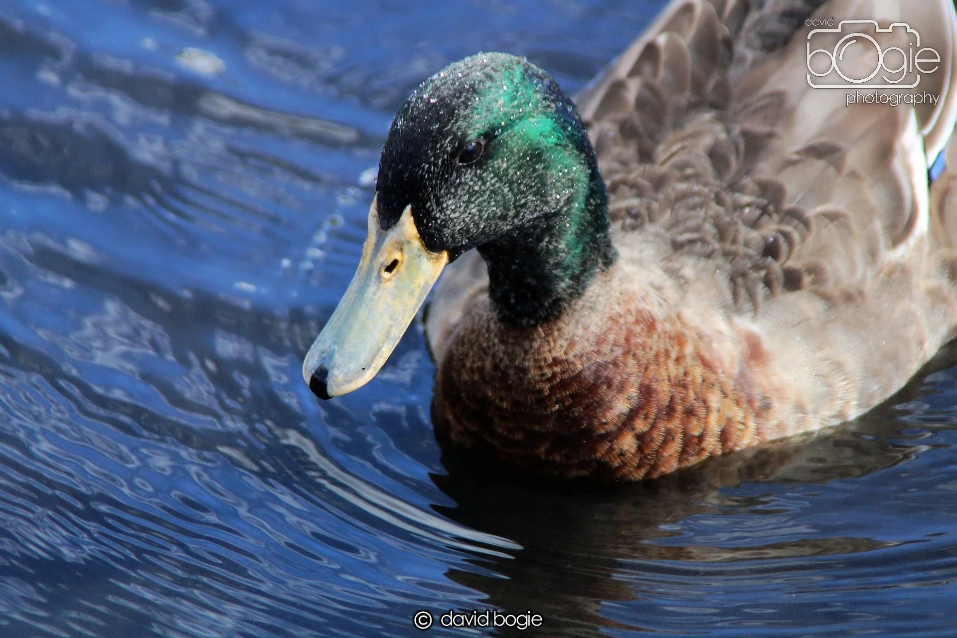 20210411 Beveridge (7) .jpg