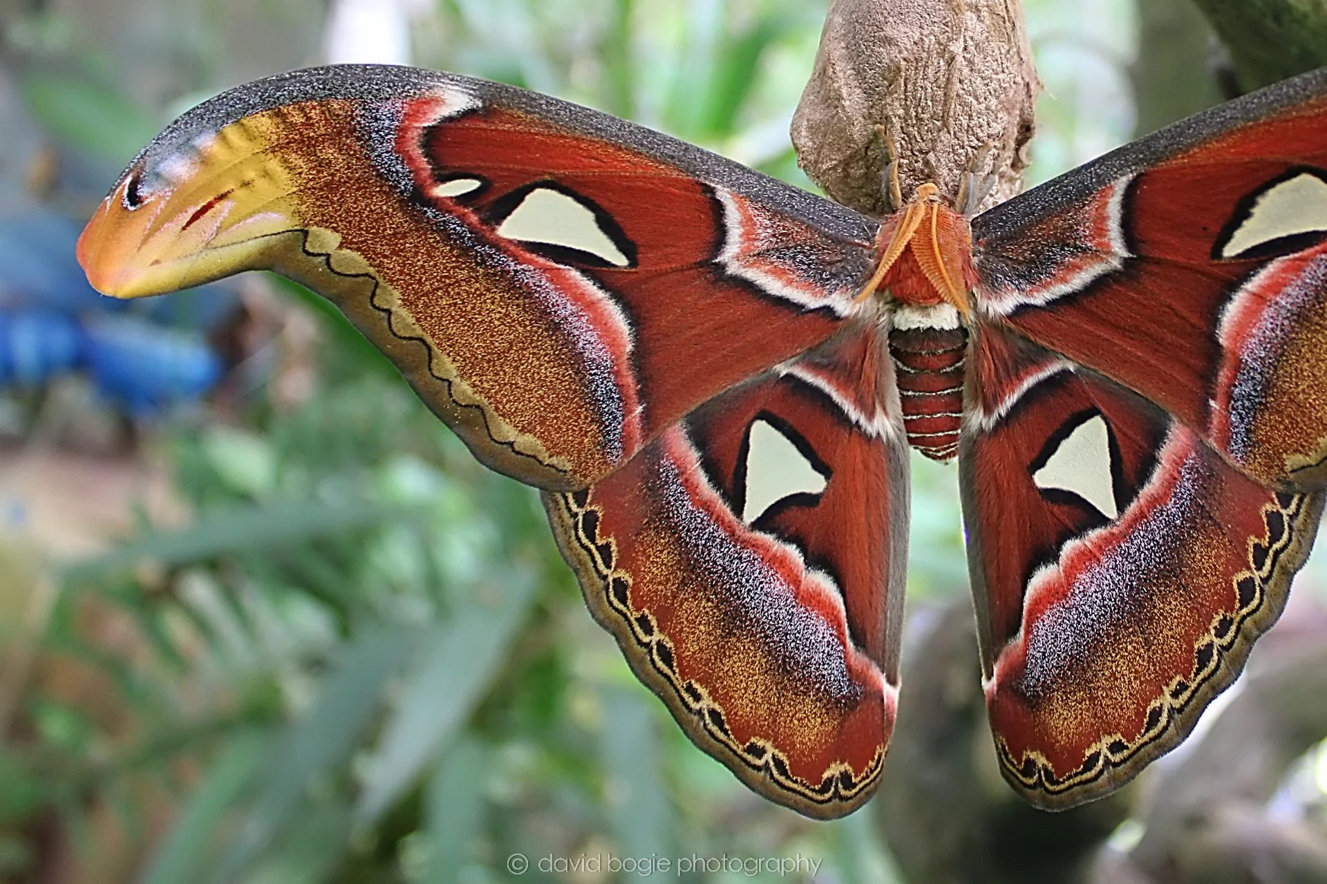 20191019 125928 Butterfly World 0032.jpg