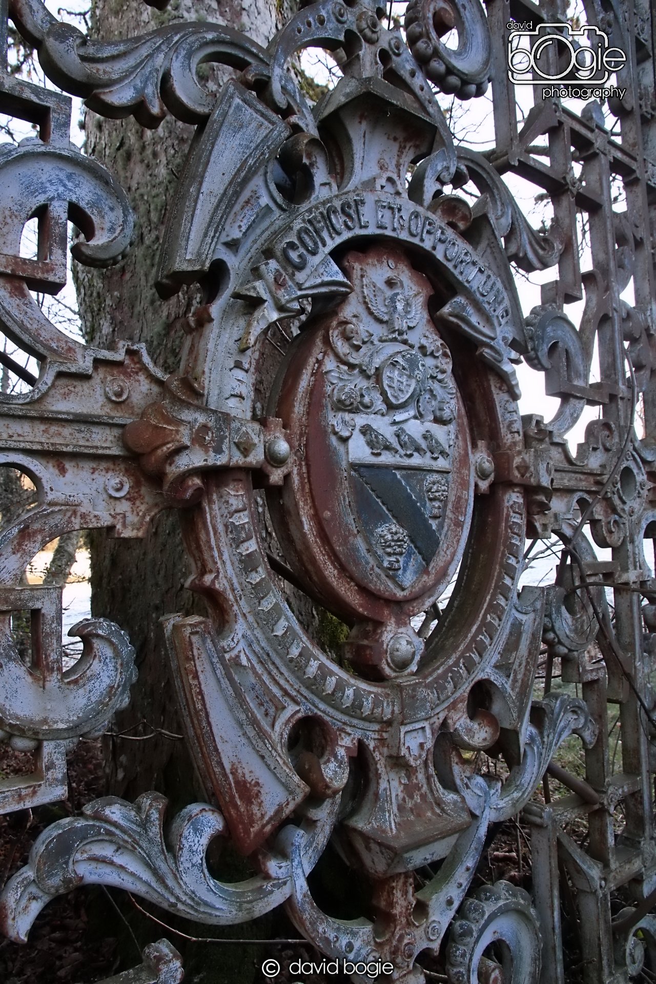 20221215 00063 Dunalistair.JPG