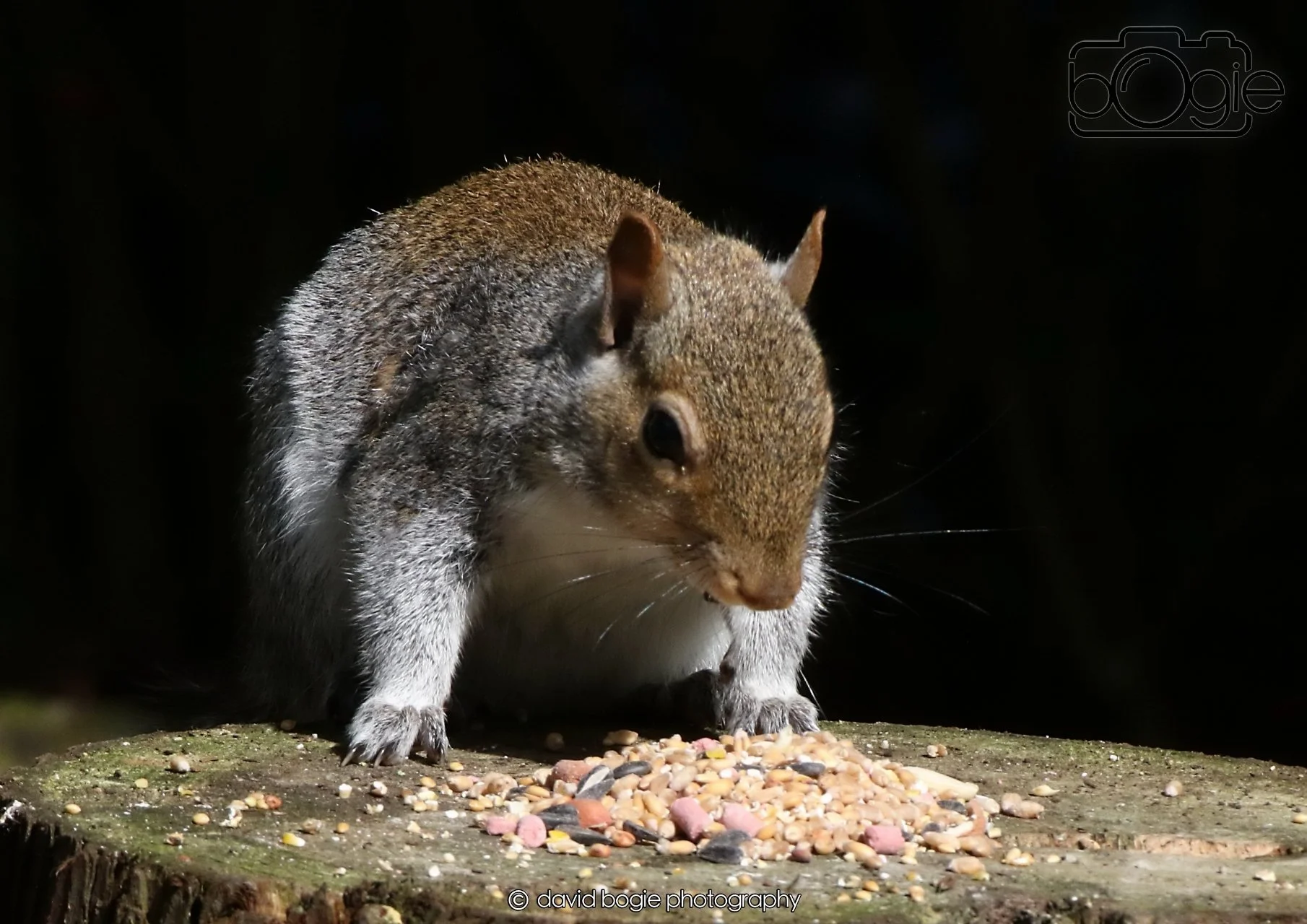 20260403 121515 Dunnikier 0101.jpg