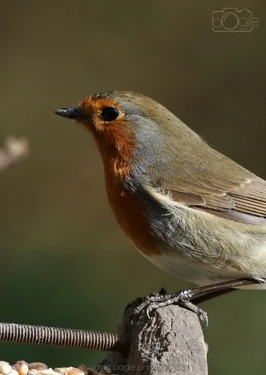 20260314 142256 Silverburn 0203.jpg