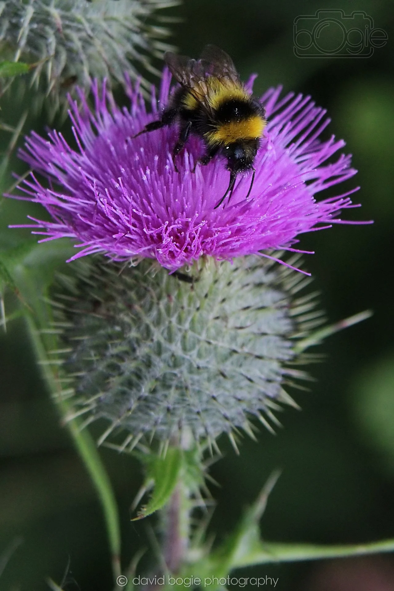 20210729 Lochore 14.jpg