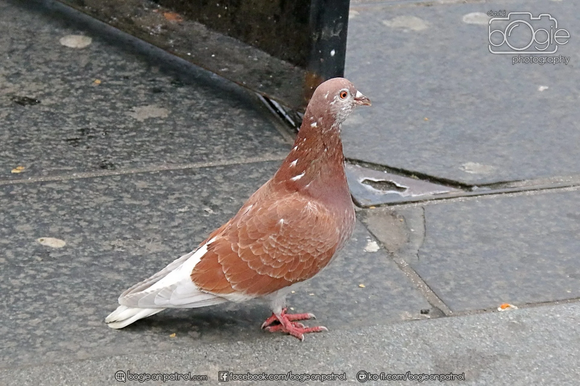 20251228 142557 Edinburgh 0274.JPG