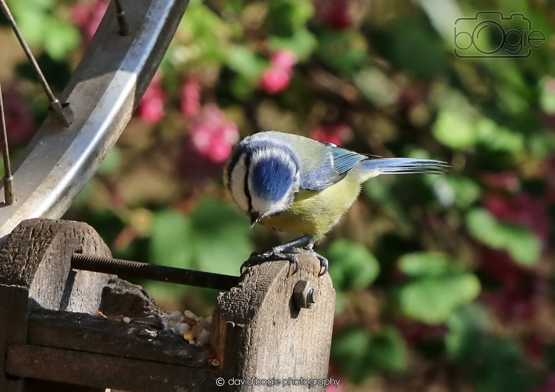 20260402 100809 Silverburn 0099.jpg