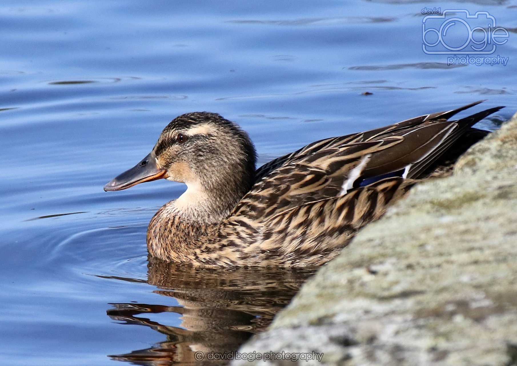 20260319 132529 Beveridge Park 0423.jpg