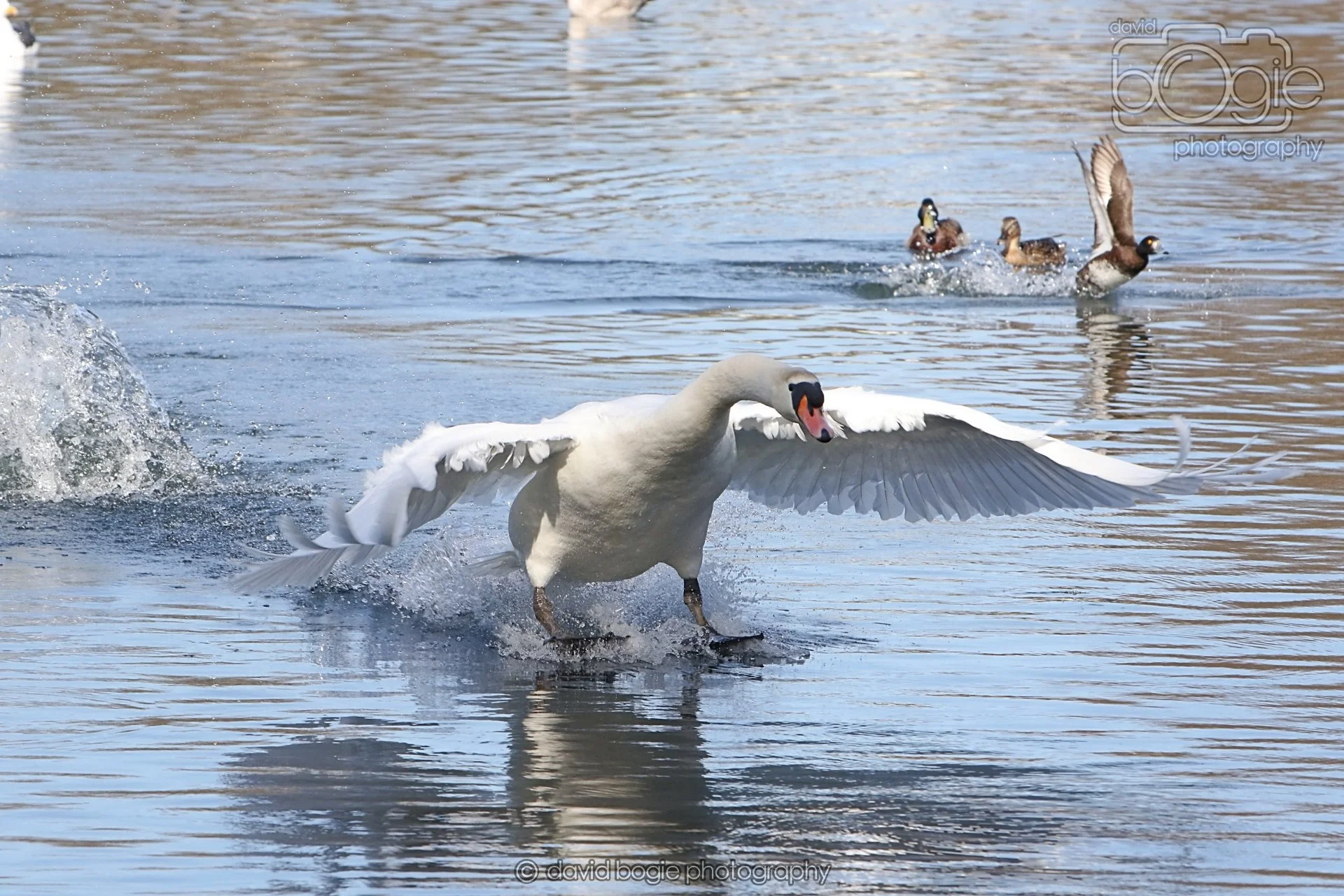 20260319 113011 Beveridge Park 0063.jpg