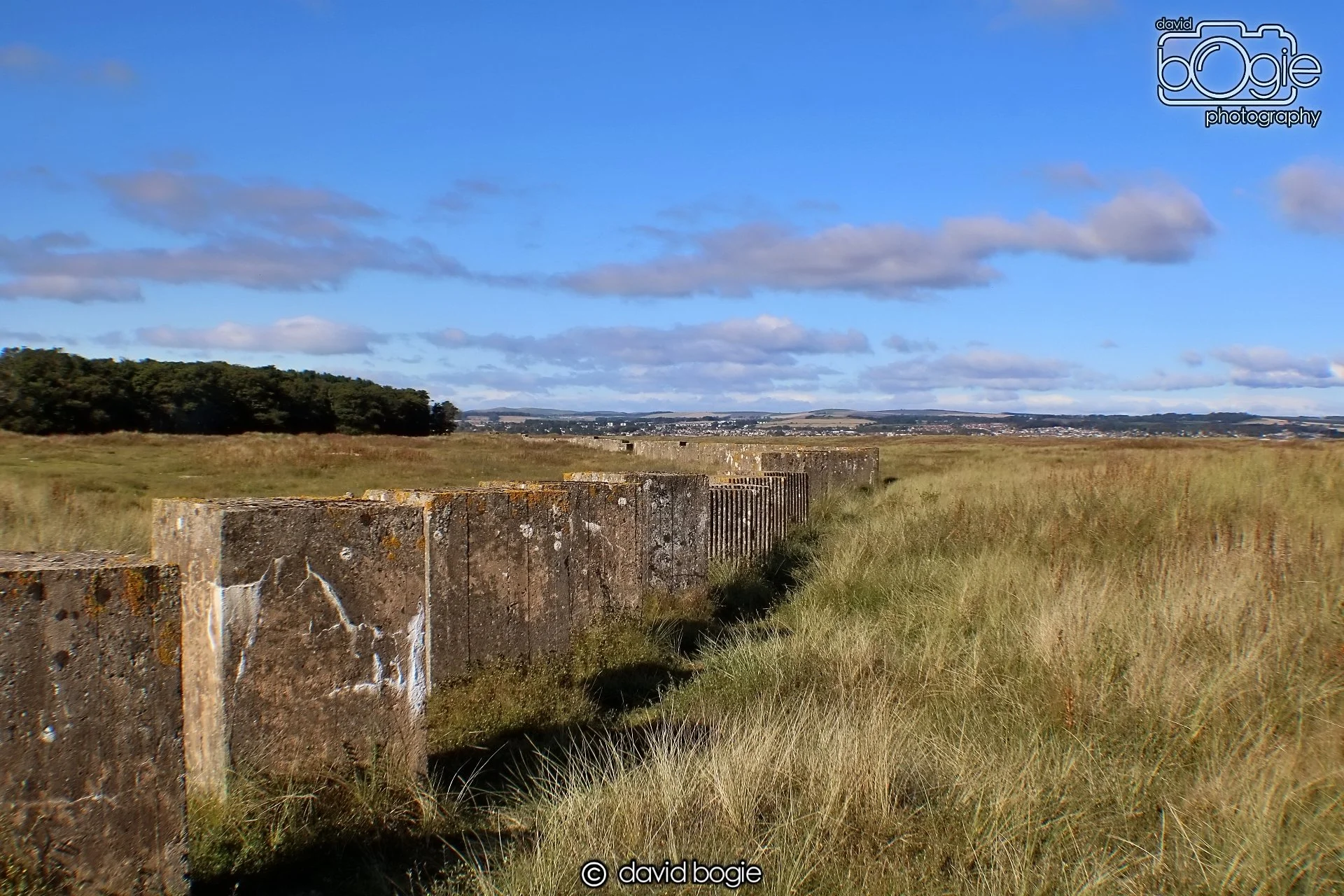 20191002 133446 Tentsmuir 0017.jpg