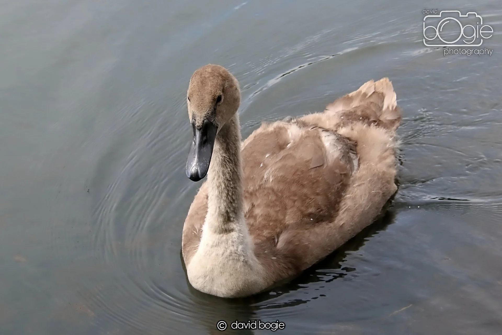 20250721 124038 Beveridge Park 0223.JPG