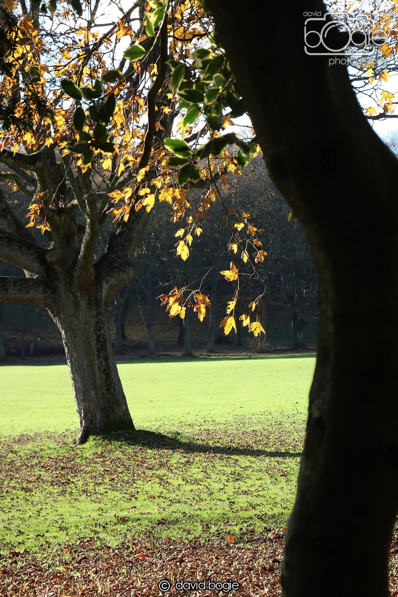 20231107 Beveridge Park 0385.jpg