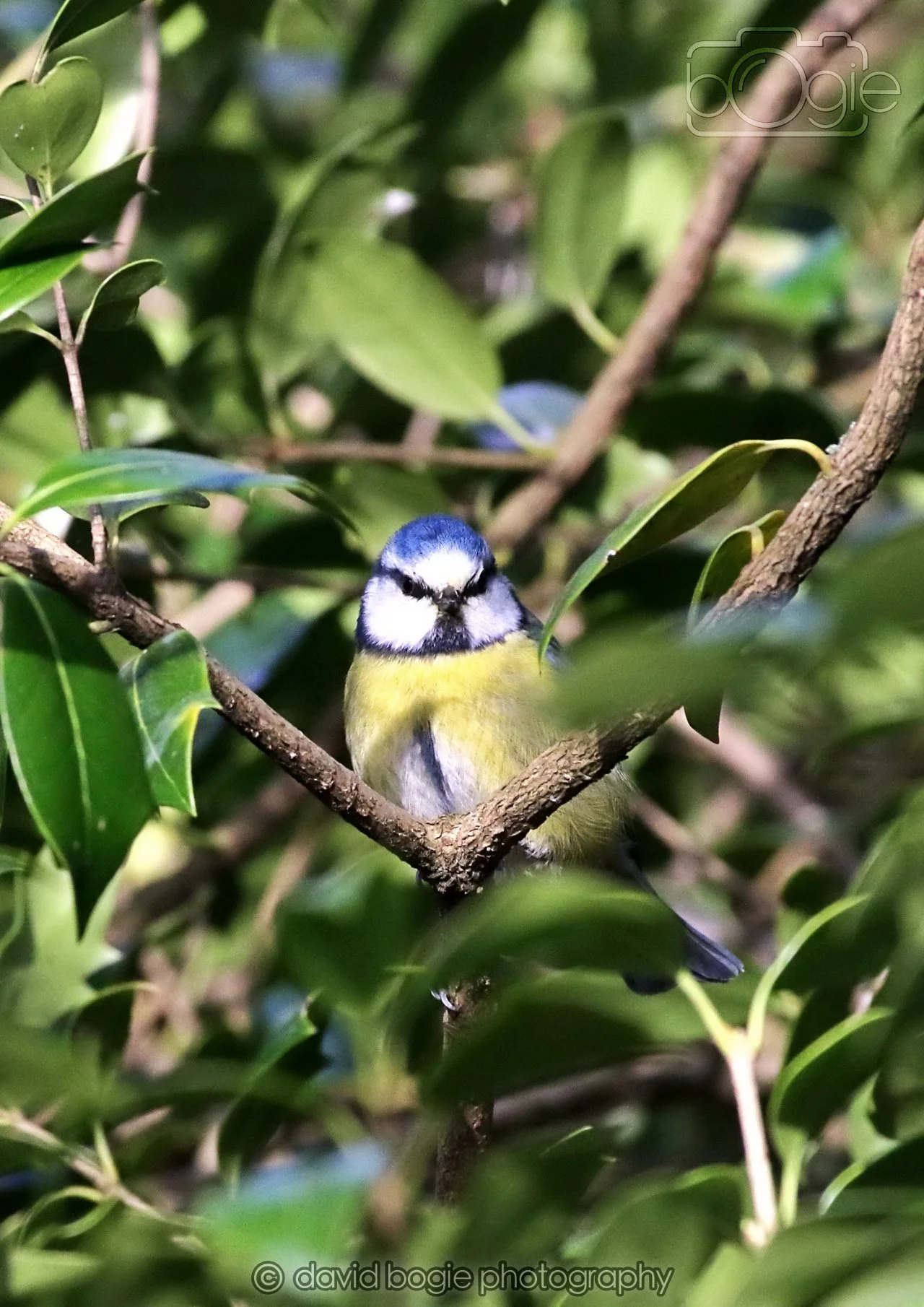 20260322 151322 Dunnikier 0315b.jpg