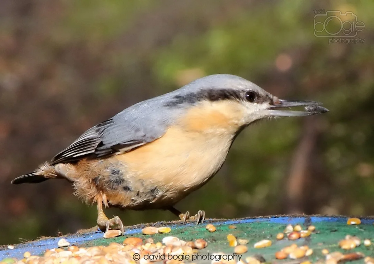 20260306 115440 Dunnikier 0335.jpg