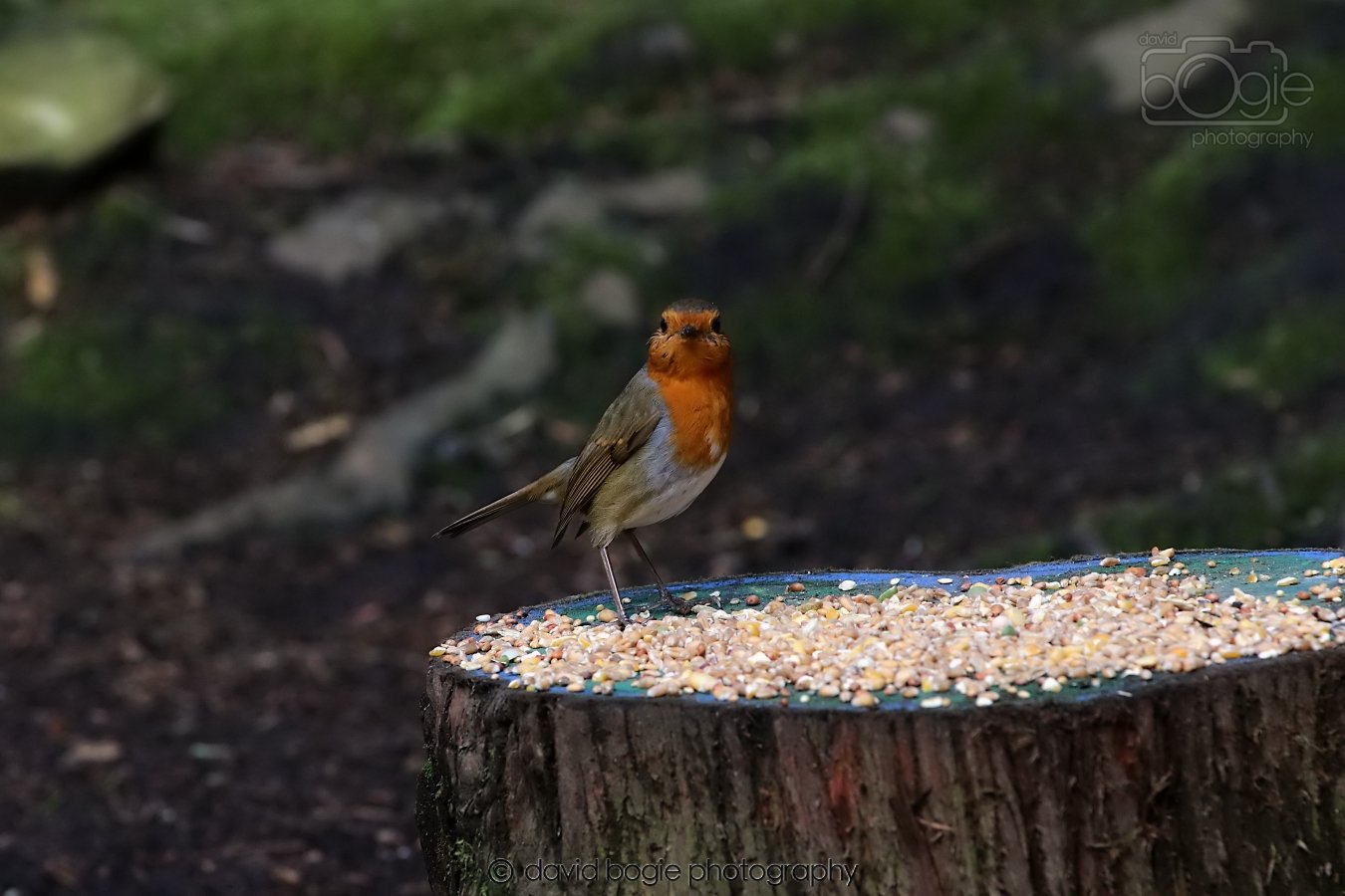 20260306 121833 Dunnikier 0613.jpg