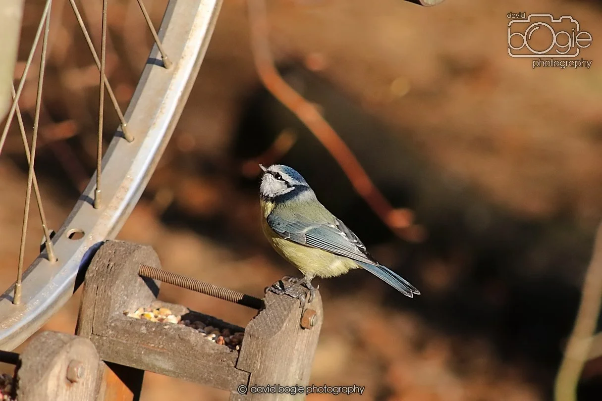 20251231 133908 Silverburn 0156.JPG