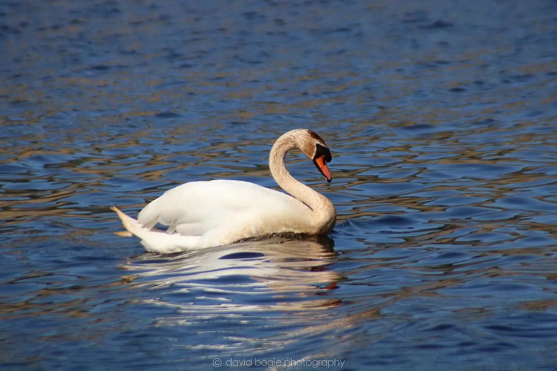 20210420 Lochore 21.jpg