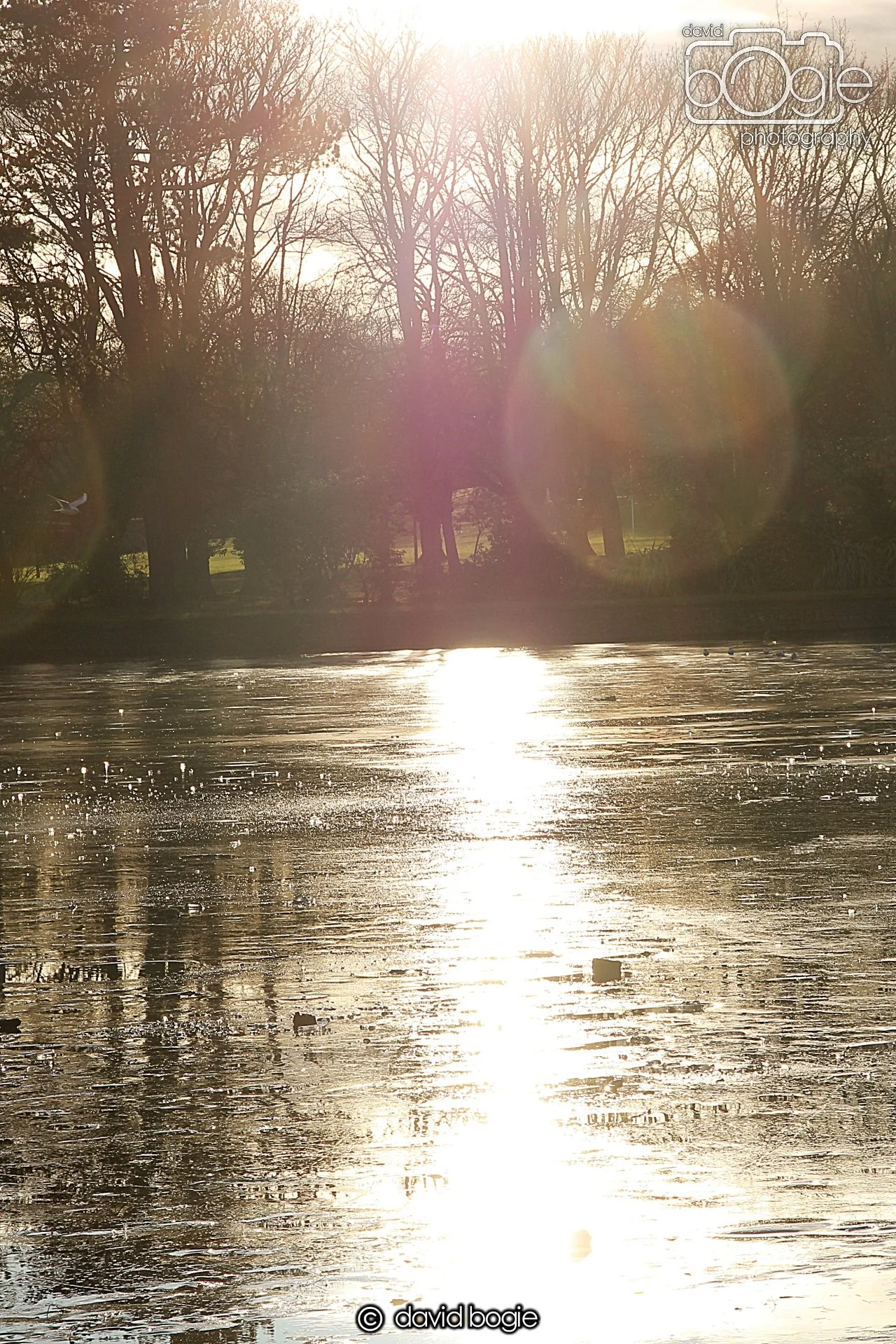 20221222 Beveridge Park 00004.JPG