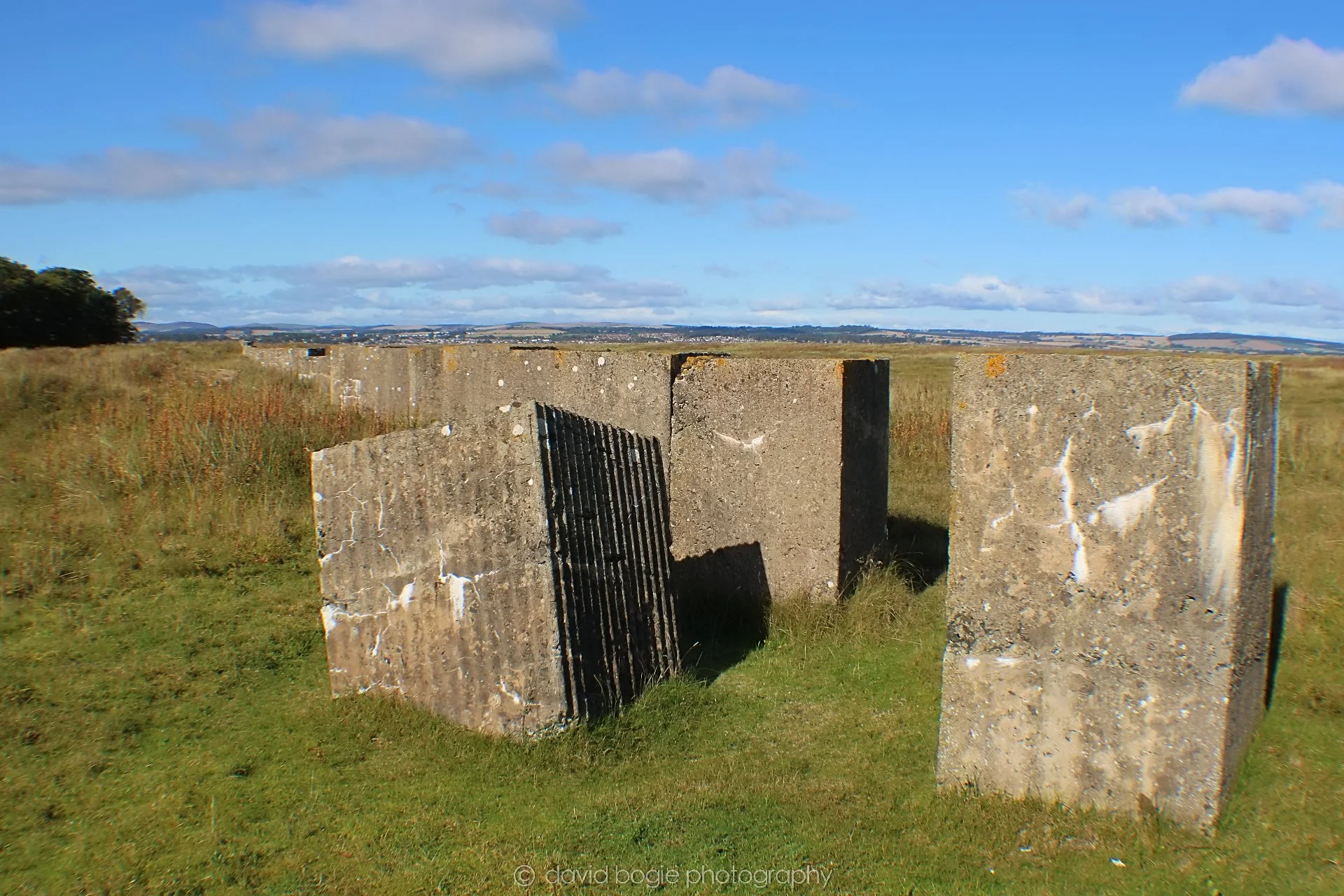 20191002 134557 Tentsmuir 0025.jpg