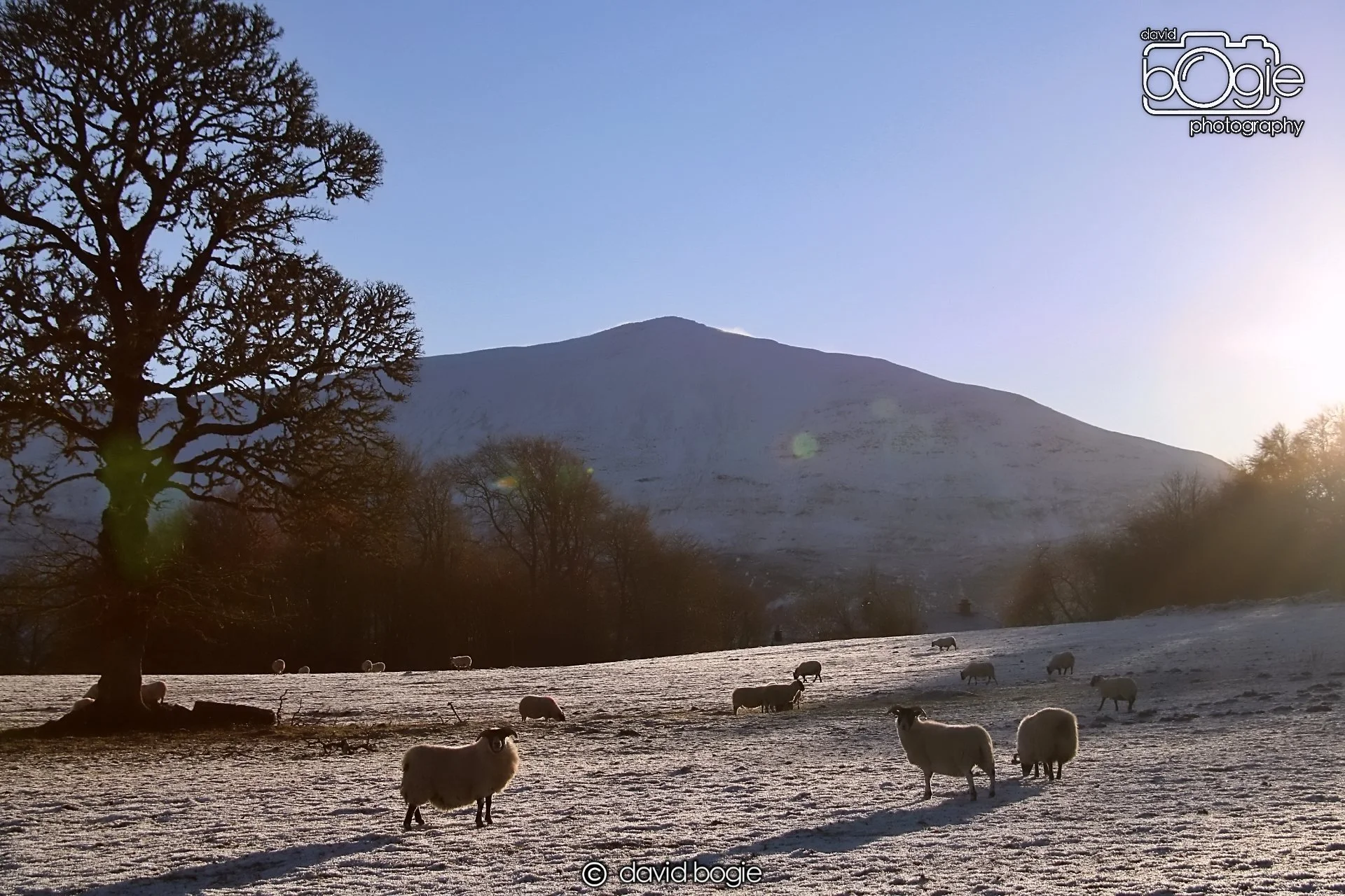 20221215 00230 Aberfeldy.JPG