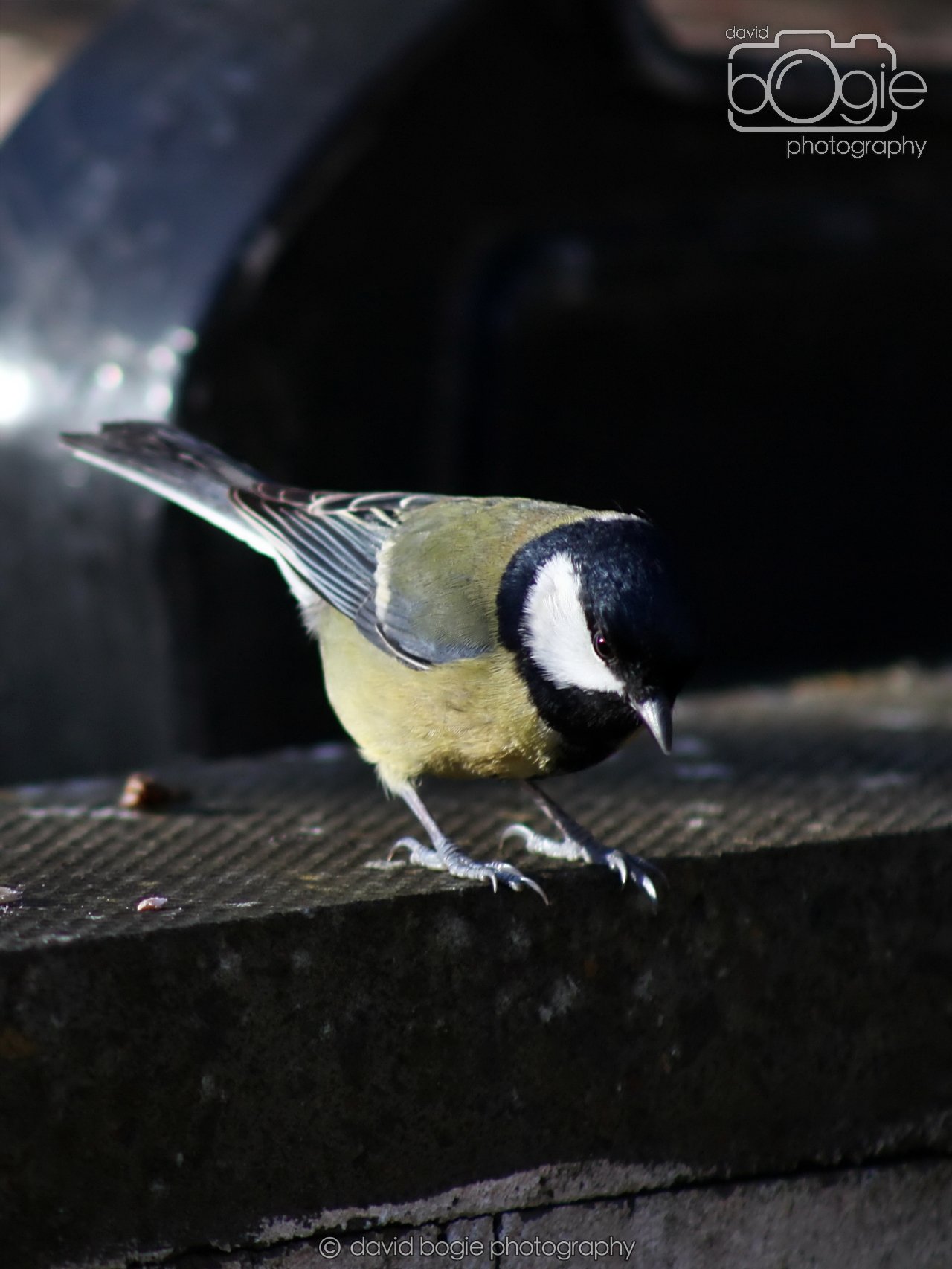 20251125 133000 Silverburn 0044.JPG