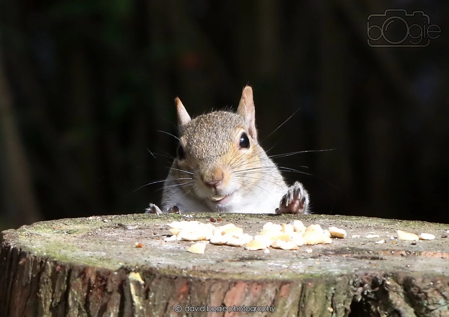 20260330 115547 Dunnikier 0290.jpg