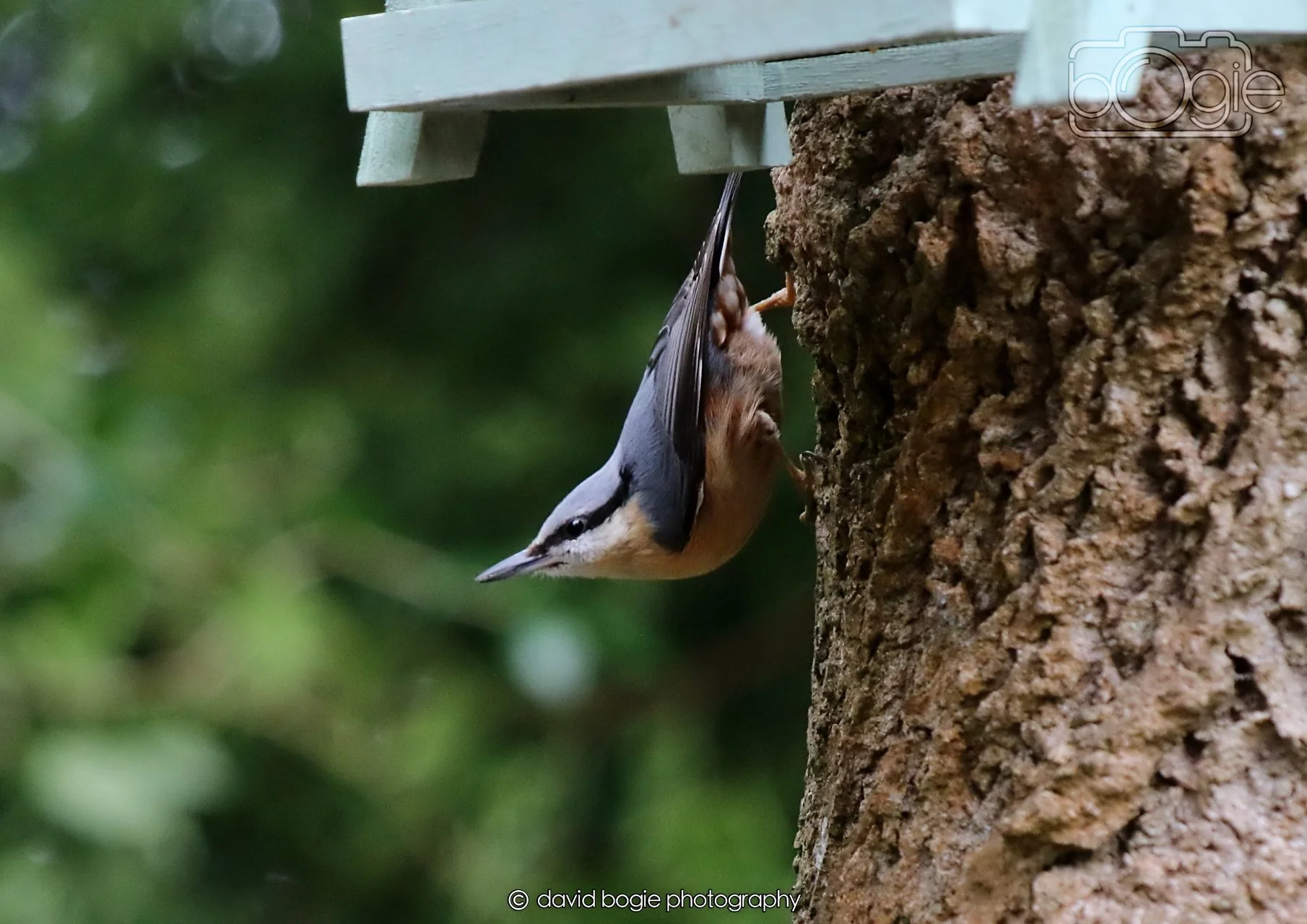 20260330 112600 Dunnikier 0156.jpg