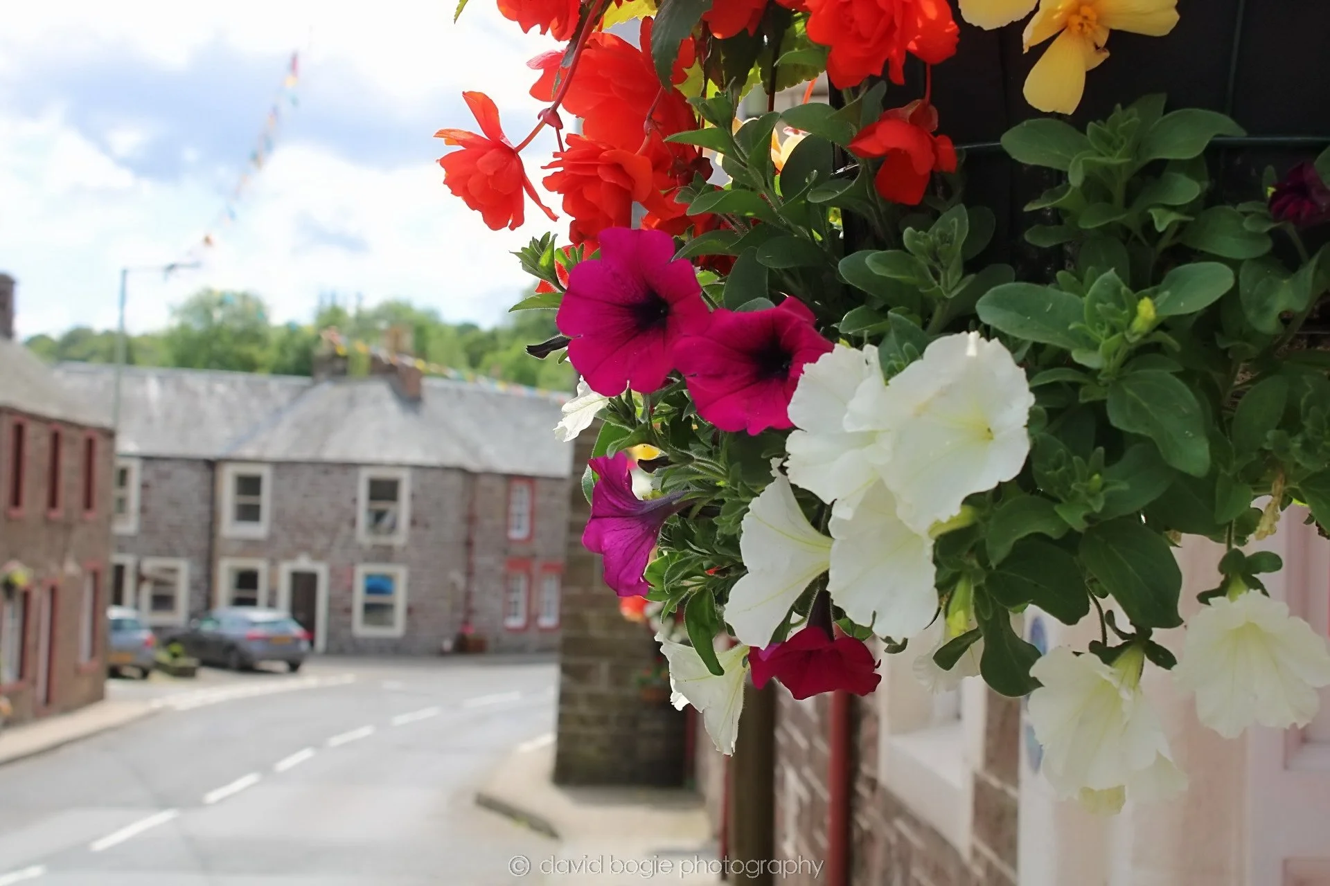 20190708 123217 Muthill 0005.jpg