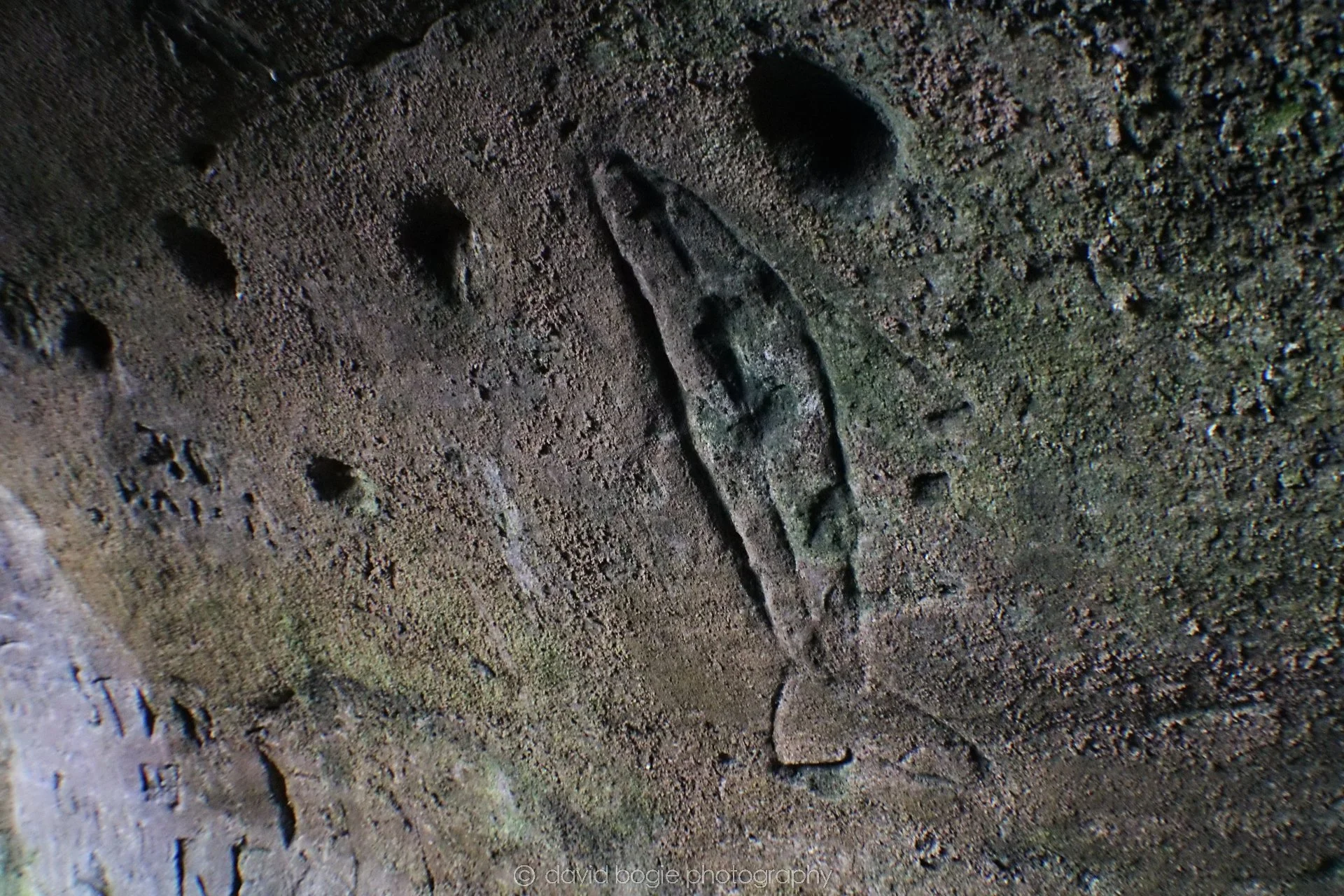 20190926 110911 Wemyss Caves 0027.jpg