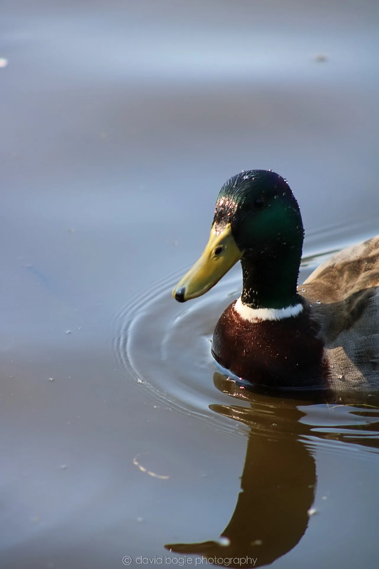 20190411 113929 Otterston 0037.jpg