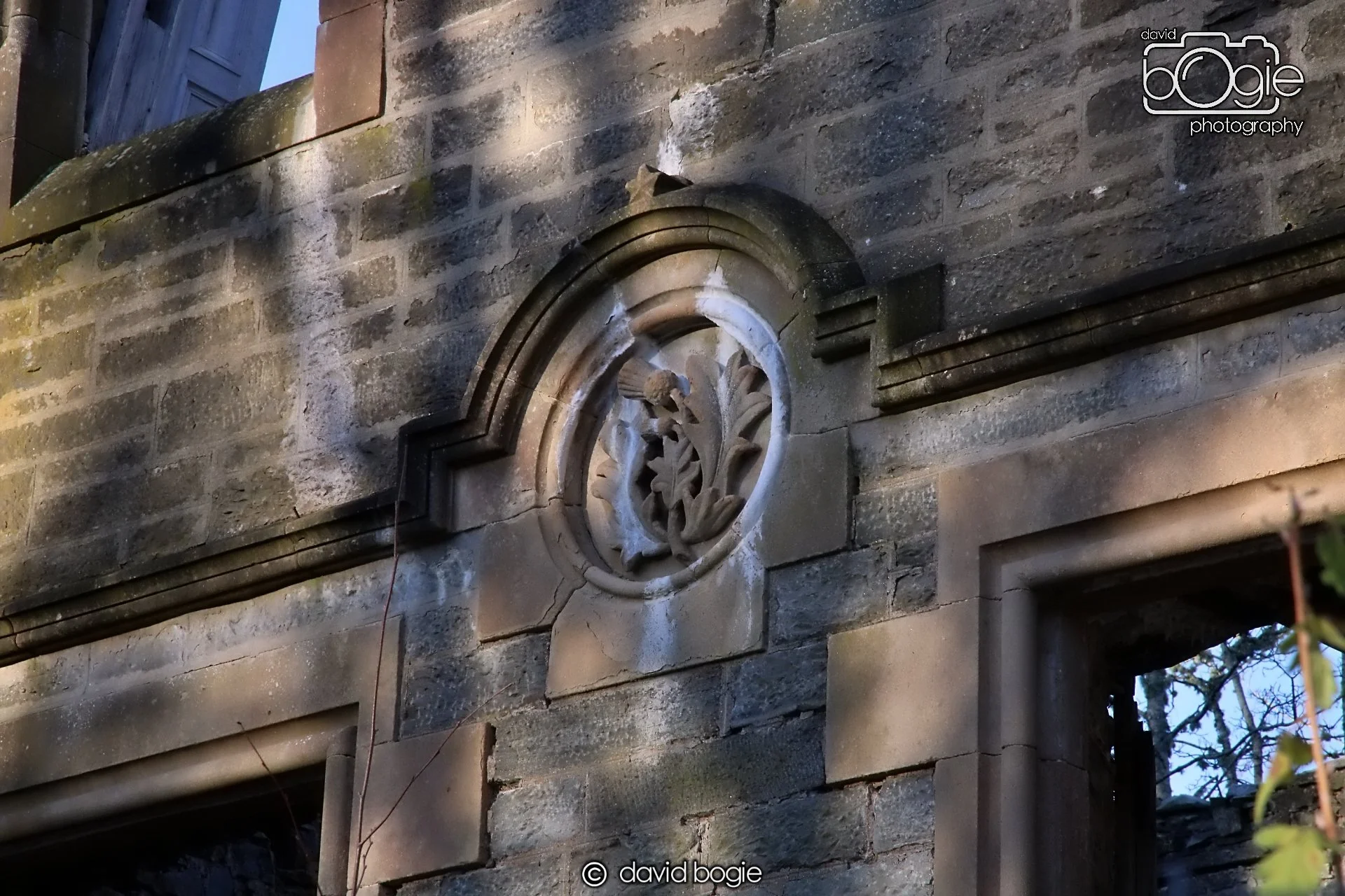 20221215 00130 Dunalistair.JPG