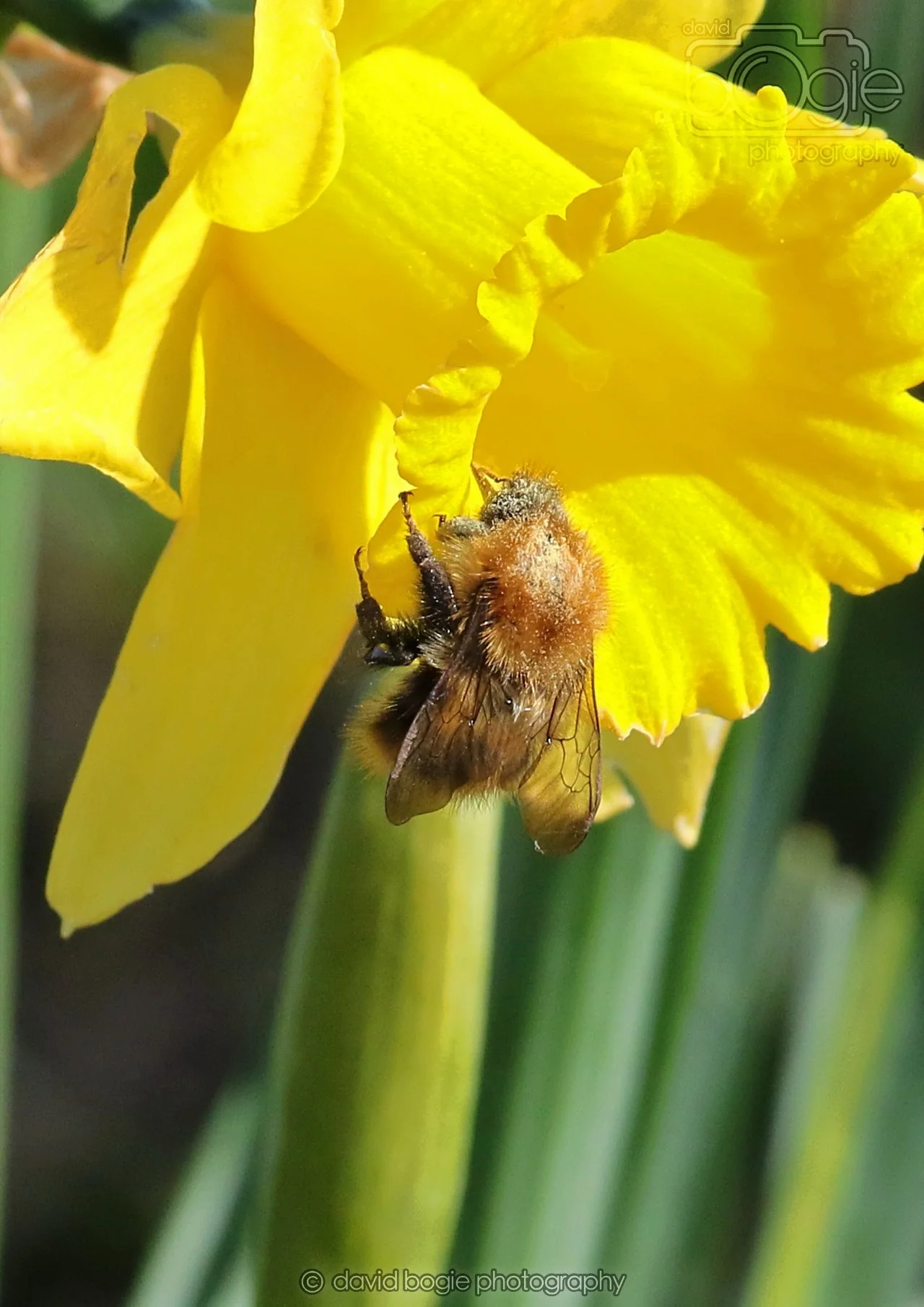 20260319 115406 Beveridge Park 0202.jpg