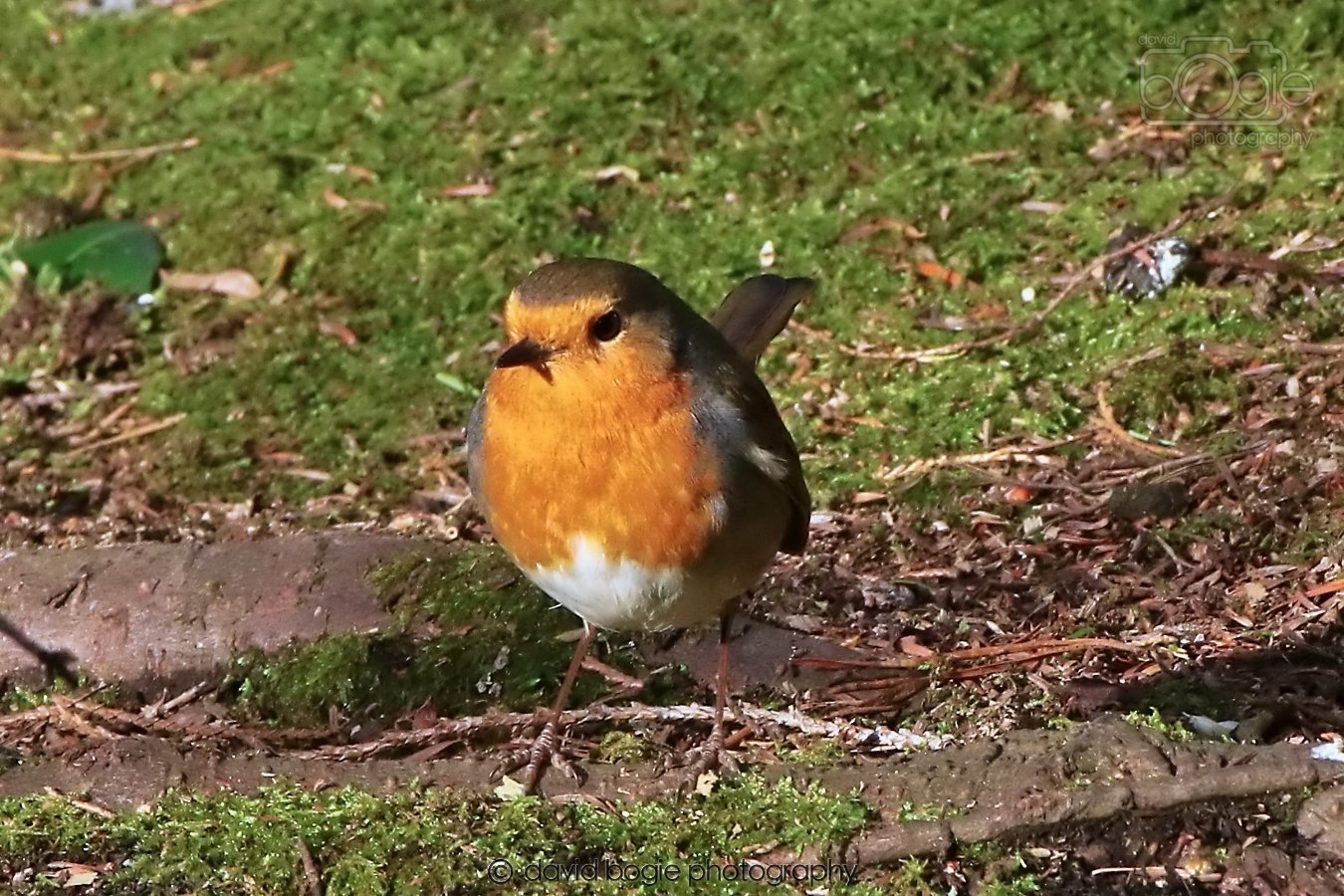 20260128 133745 Dunnikier 0224.jpg