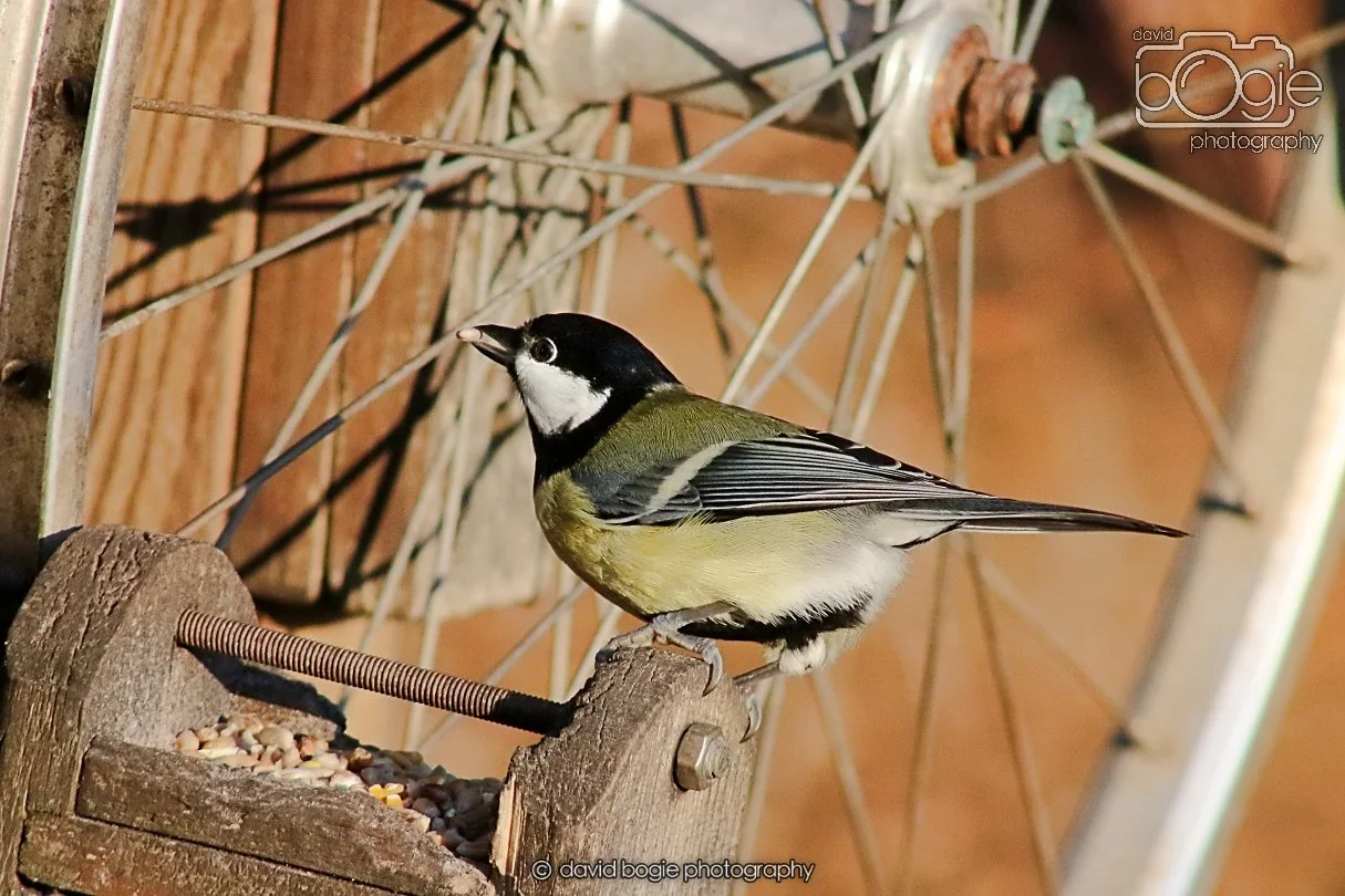 20251231 134338 Silverburn 0194.JPG