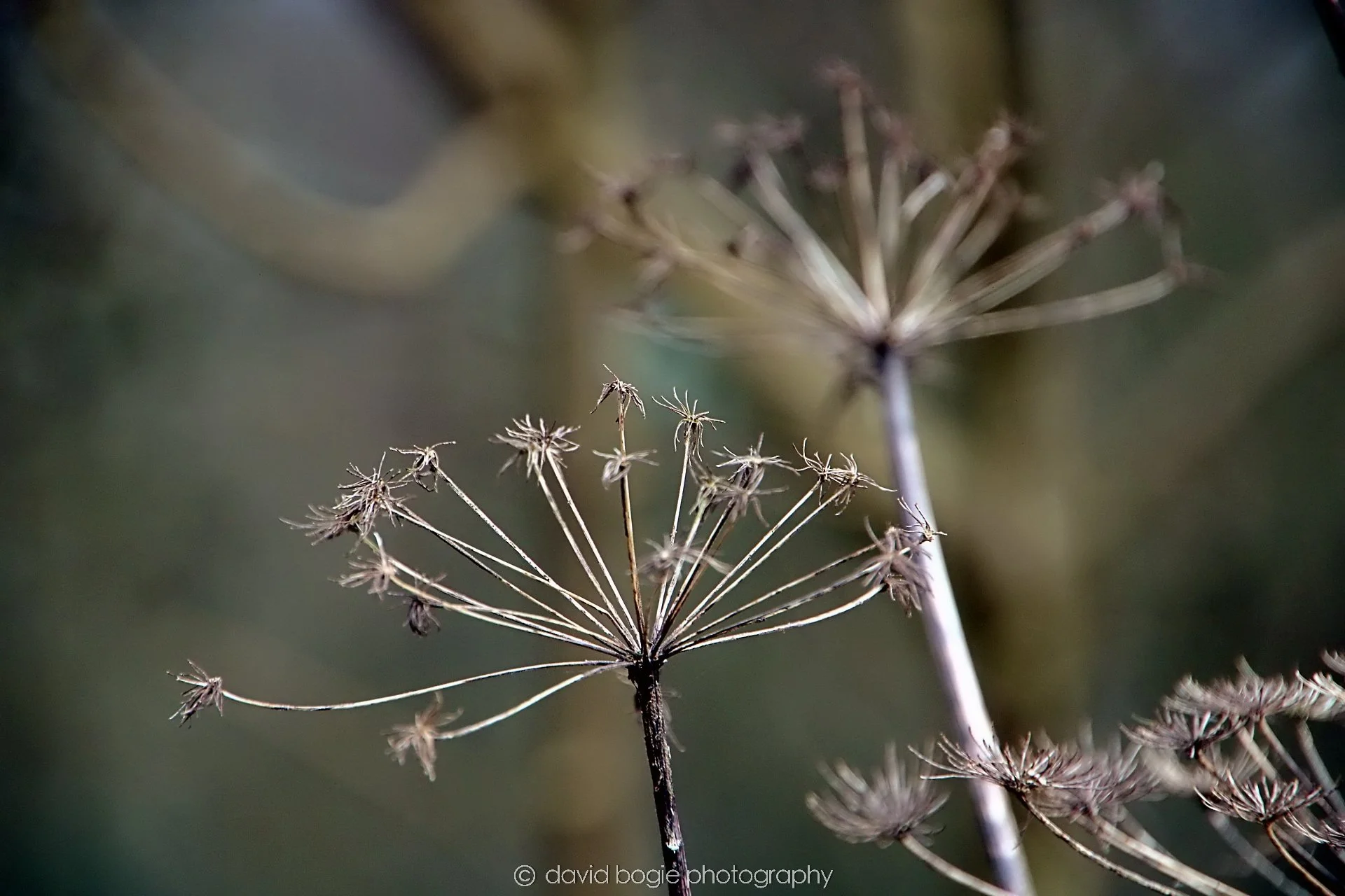 YEAR20240316 142919 Lochore Meadows 0010.jpg