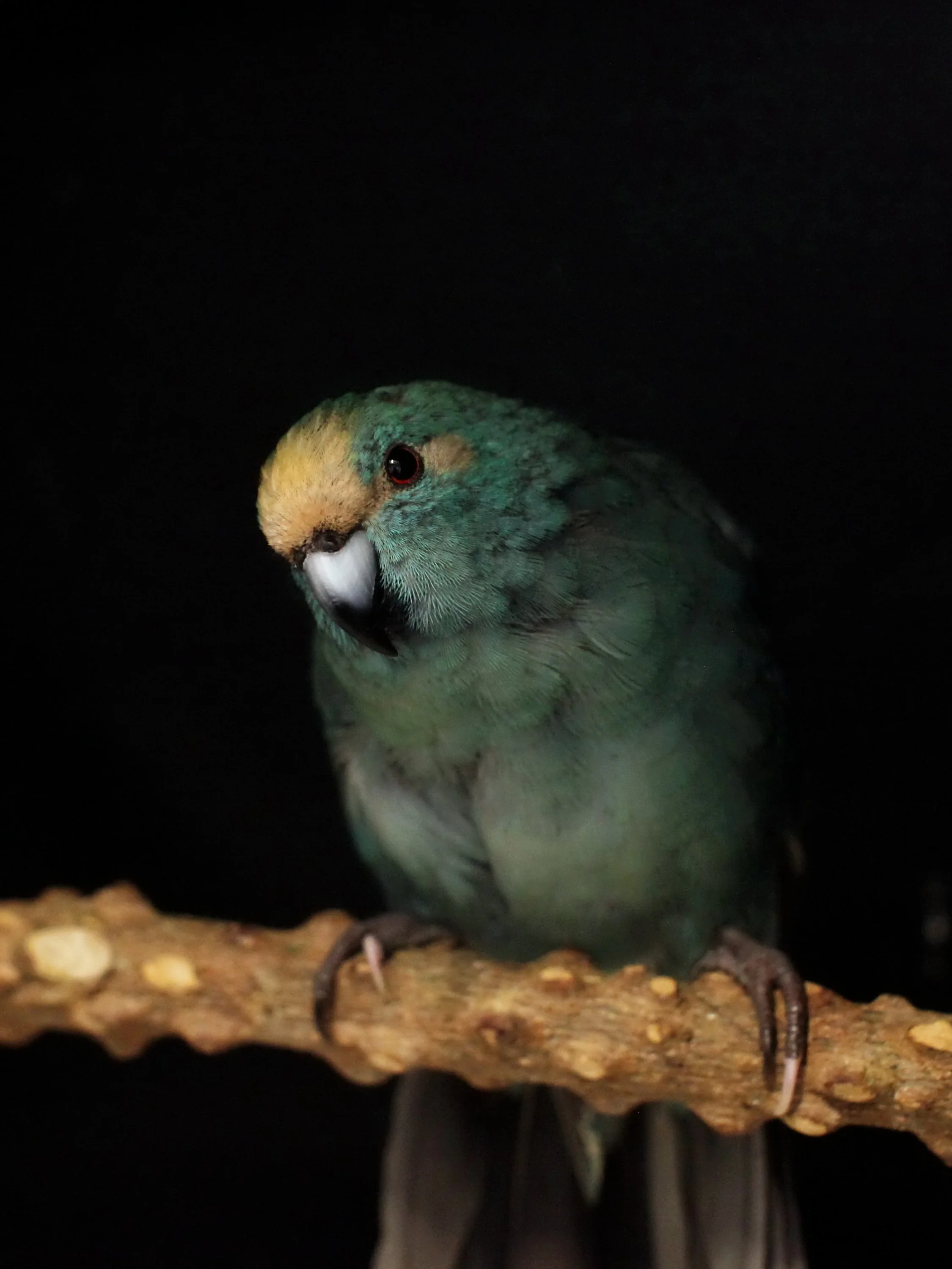 20251206 122135 K&S 0001.JPG