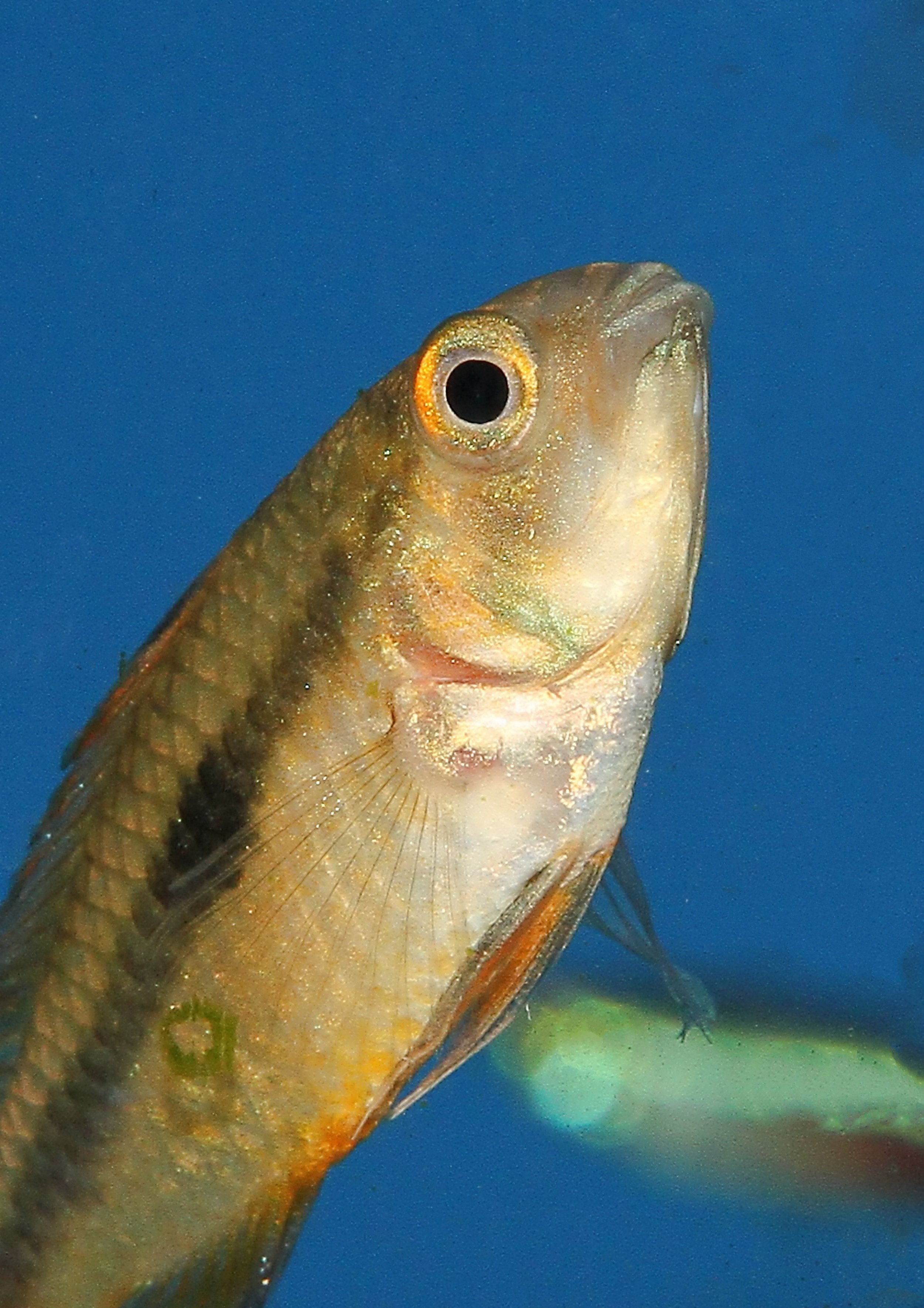 20260403 142015 IMG_0181.jpg