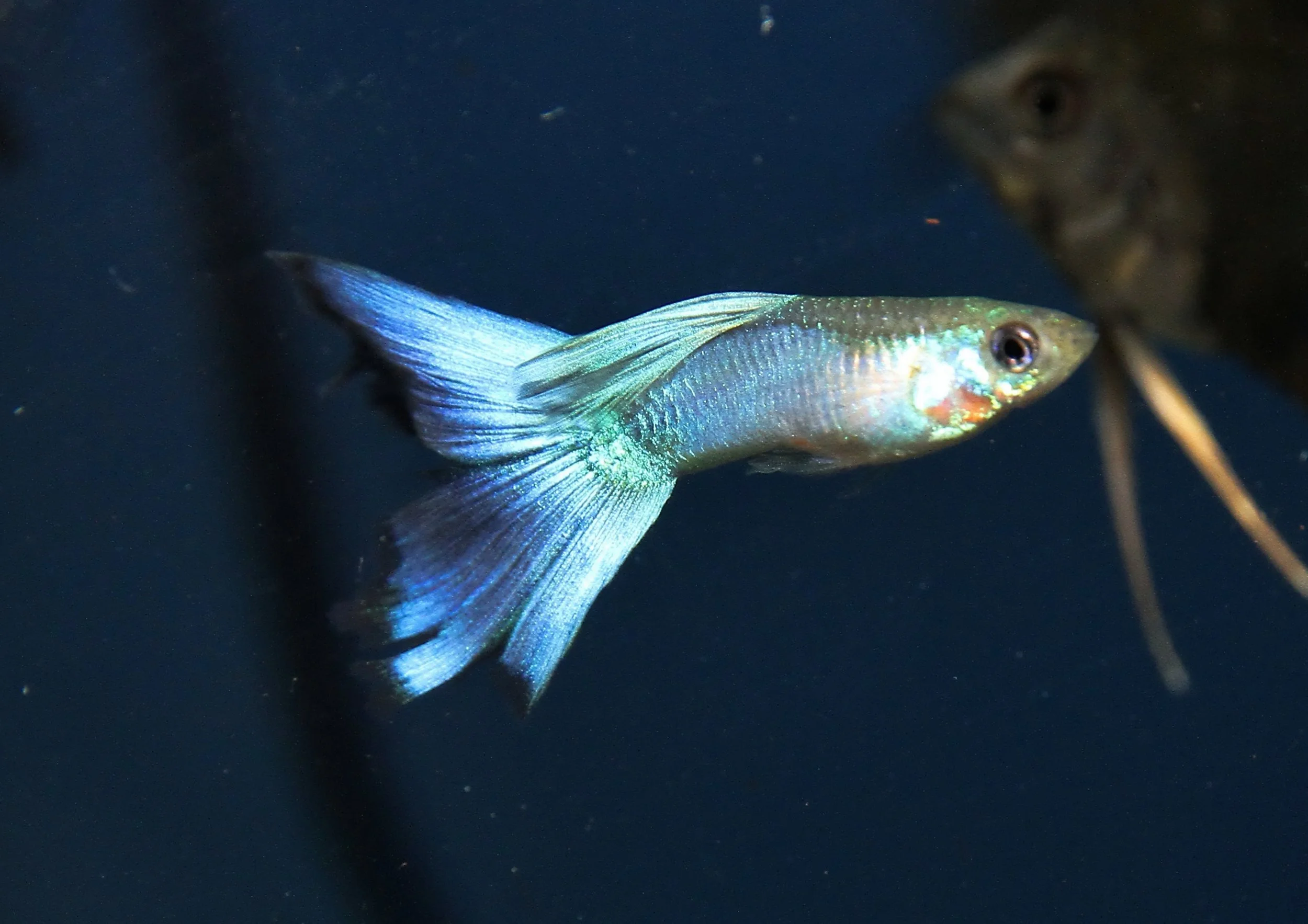 20260331 112032 K&S 0499.jpg