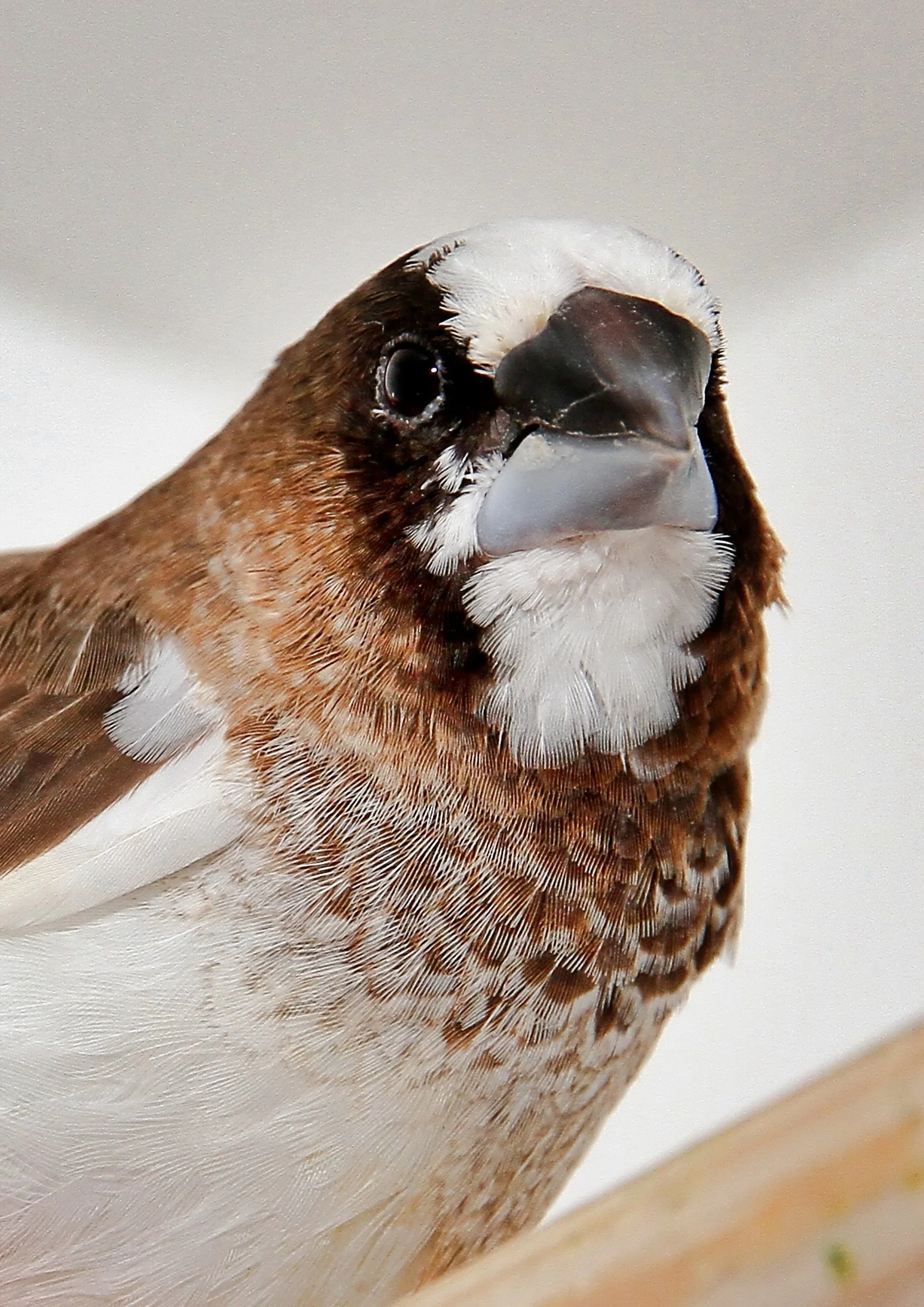 20260331 111840 K&S 0469.jpg