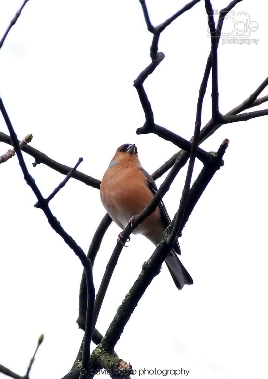 20260306 091411 Dunnikier 0068.jpg