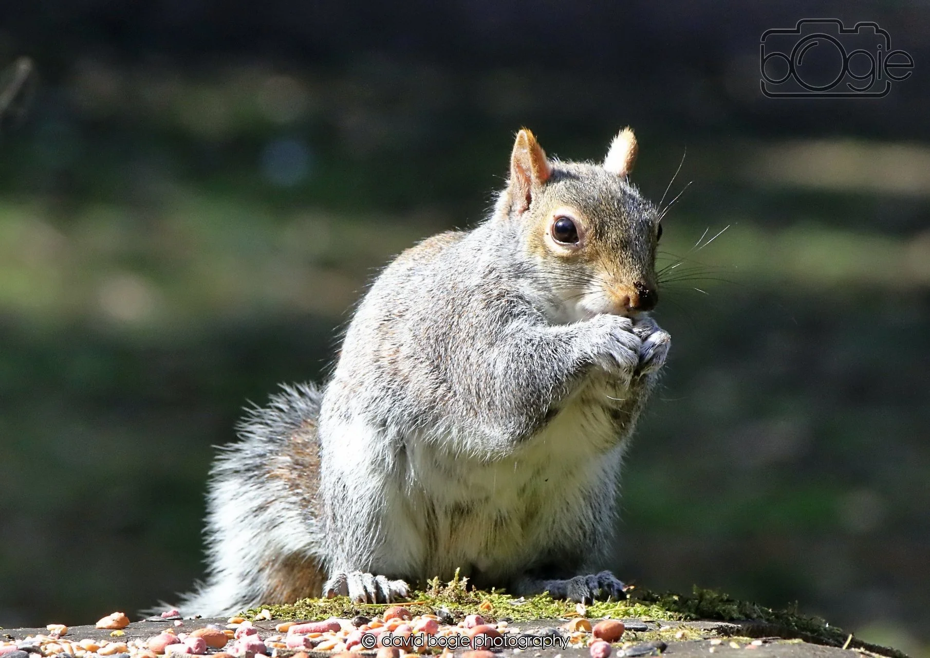 20260402 123158 Ravenscraig 0394.jpg