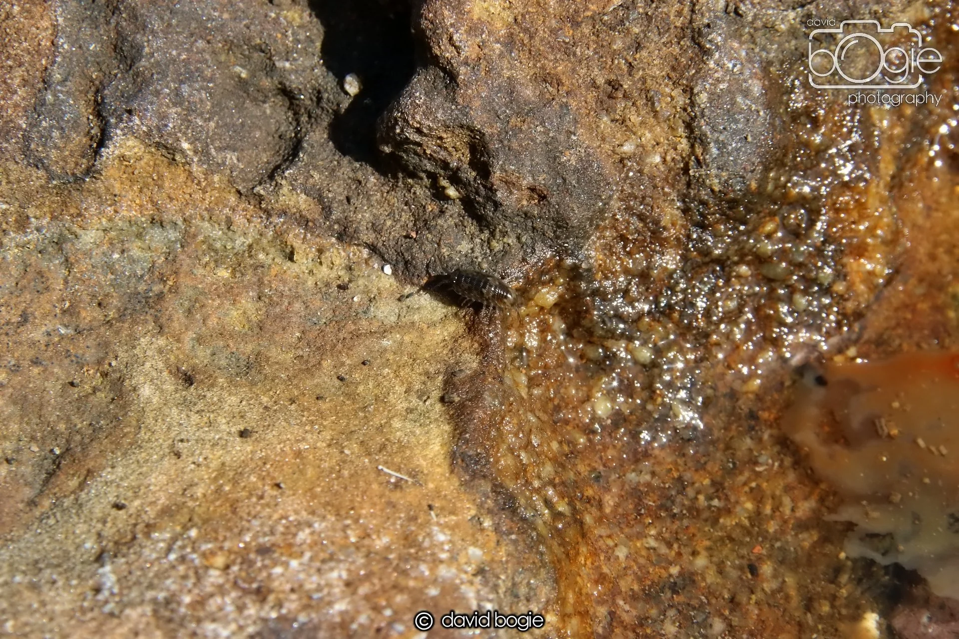 20250812 142118 Dysart 0051.JPG