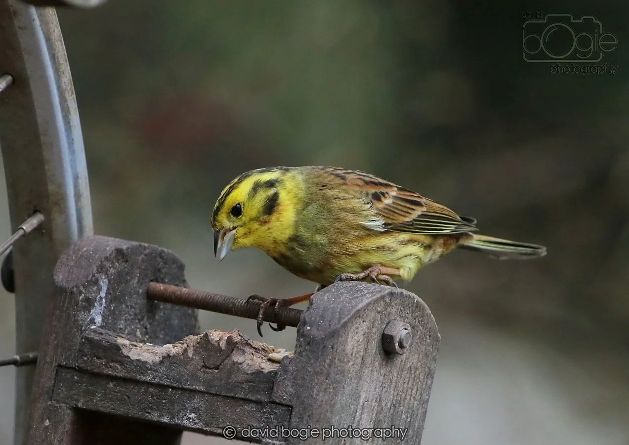 20260215 132442 Silverburn 0150.jpg